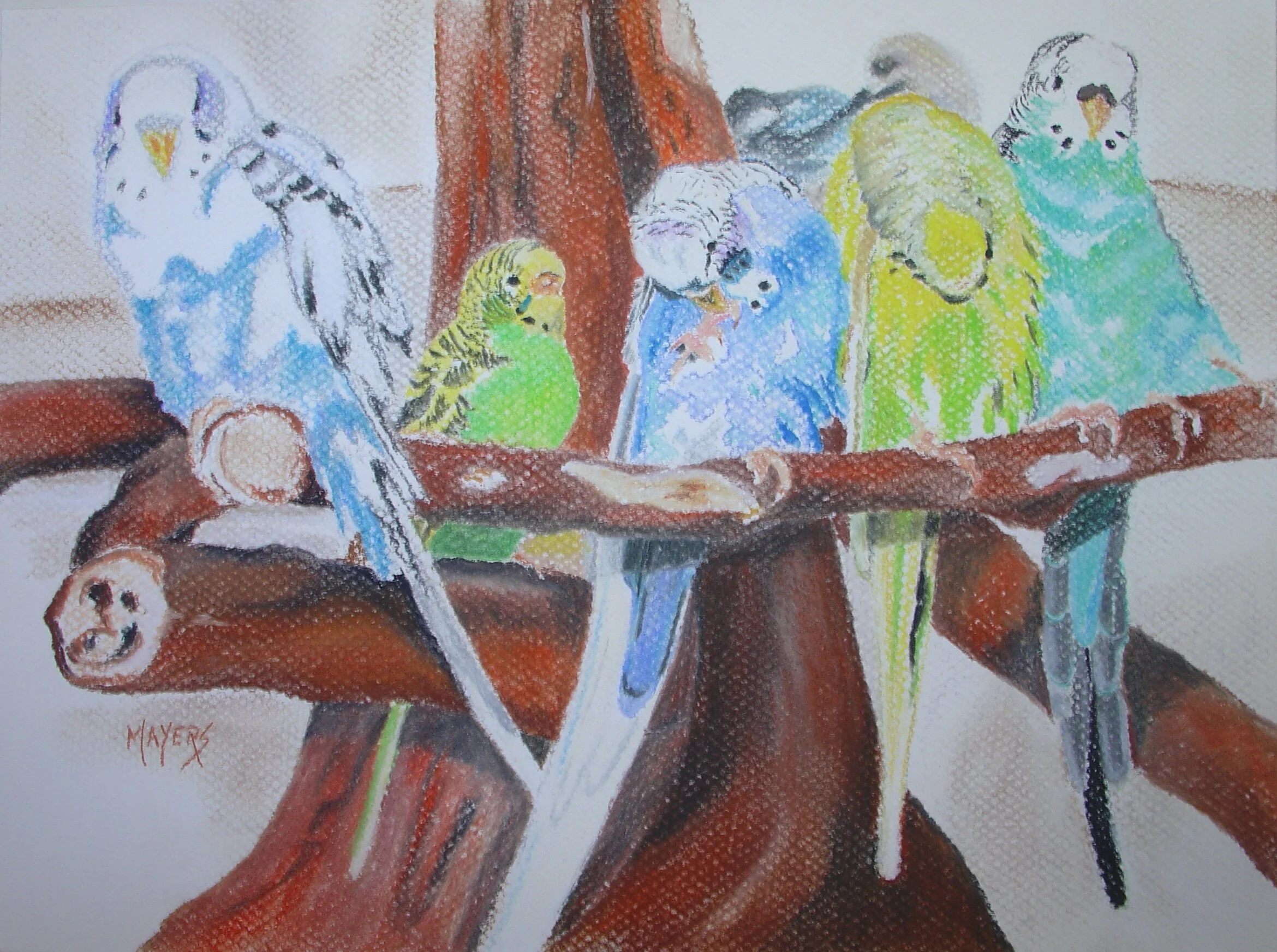 Budgies 
9" X 12" Chalk Pastel 
$80.00 CAD