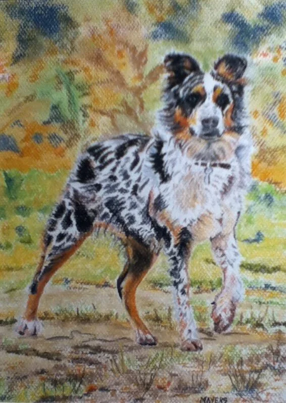 Working Dog
Chalk Pastel SOLD