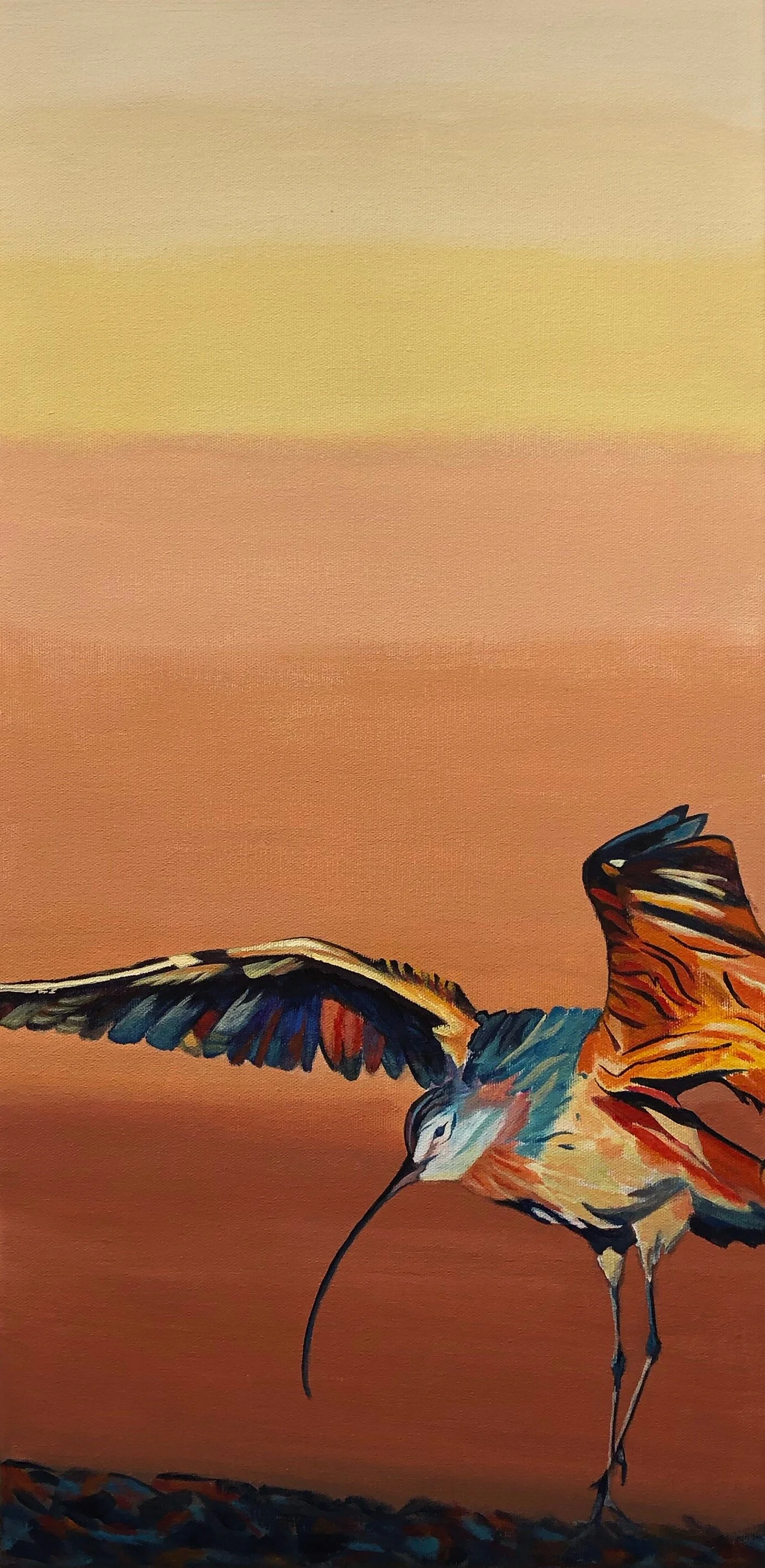 Curlew 
12" X 24" Acrylic SOLD