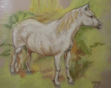 White Pony 
9" X 12" Chalk Pastel CAD$80