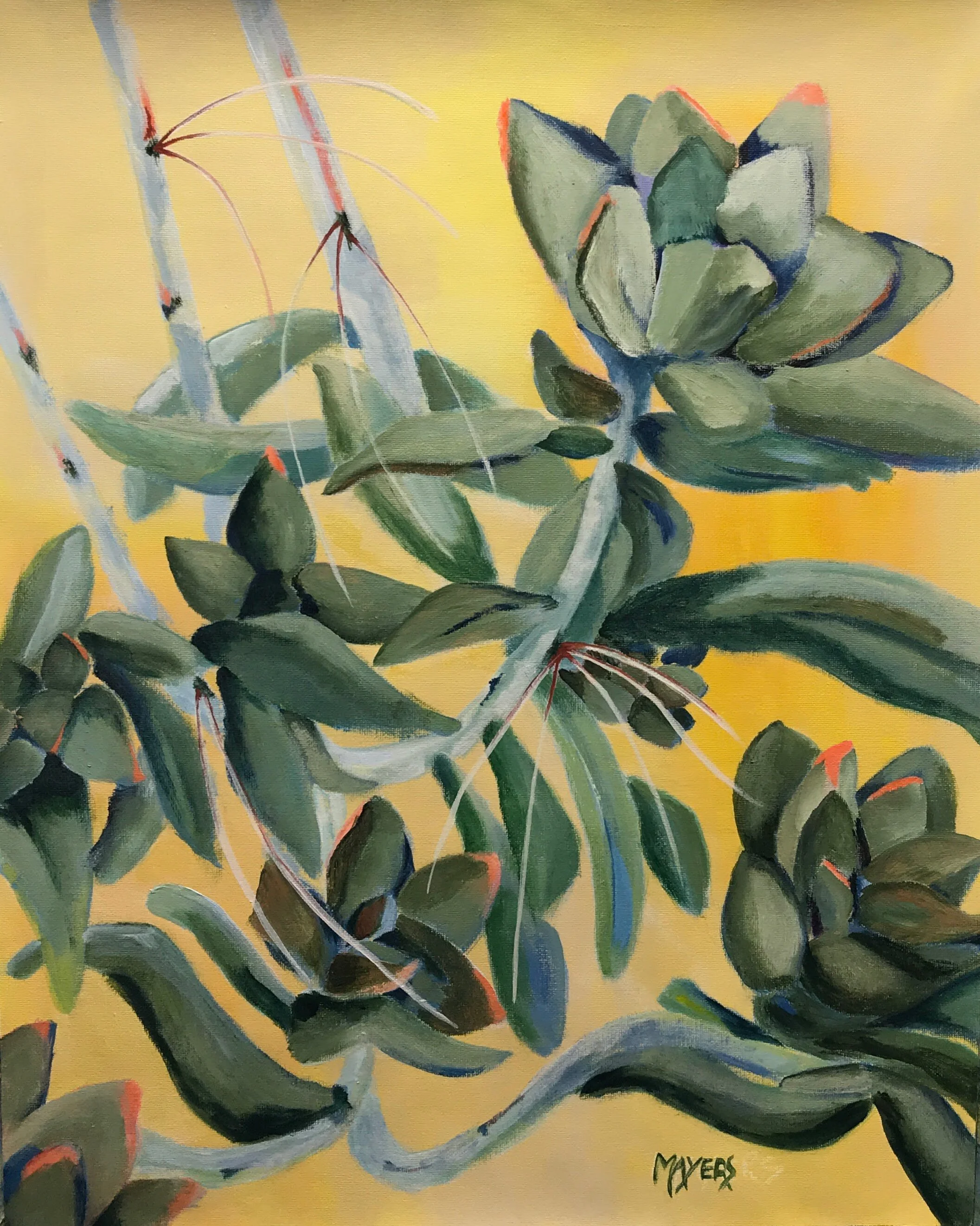 Succulents
Acrylic on Canvas Sheet 16" x 20" CND$400