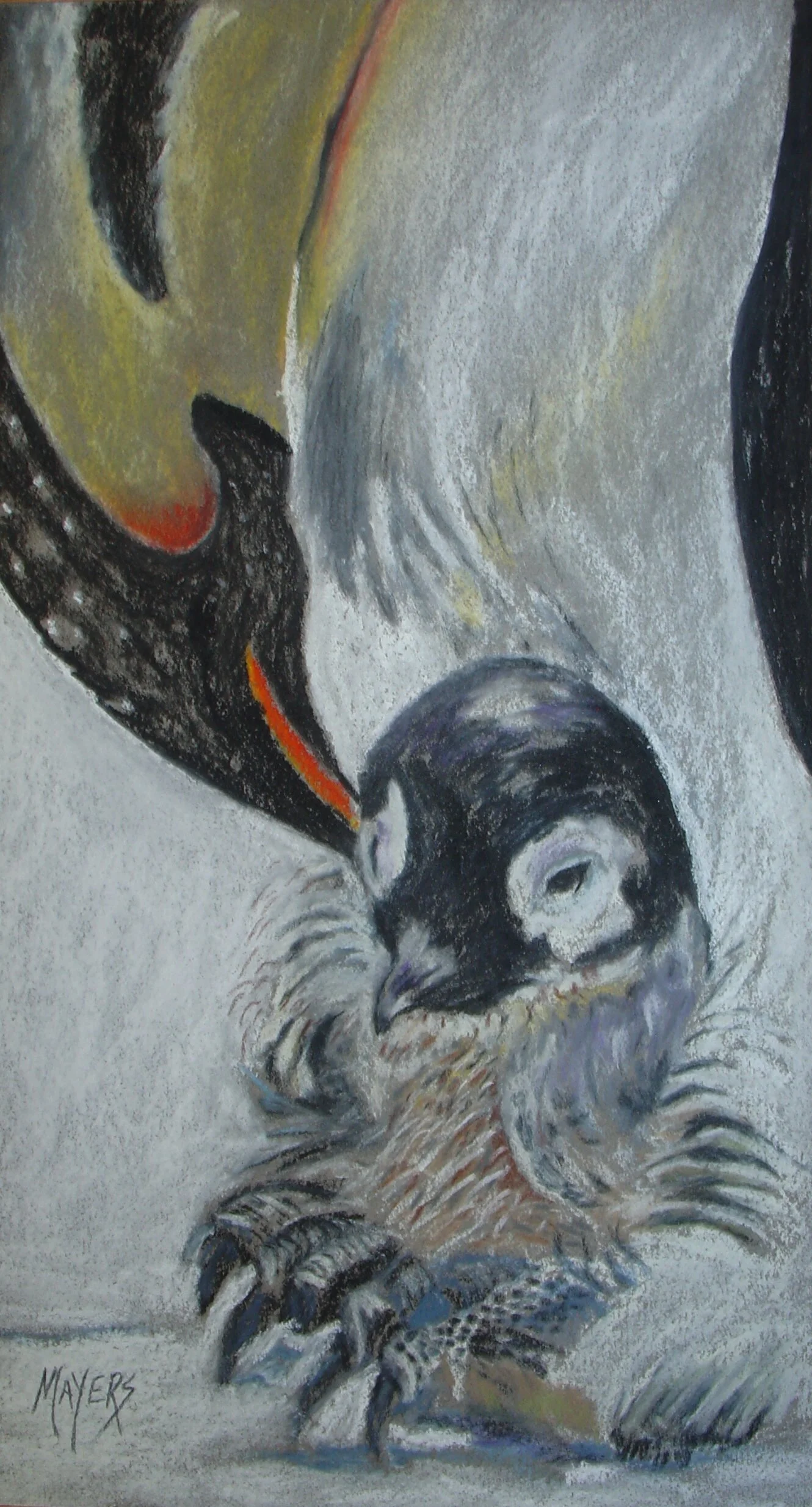 Penguin & Pup 
9" X 12" Chalk Pastel 
$80.00 CAD