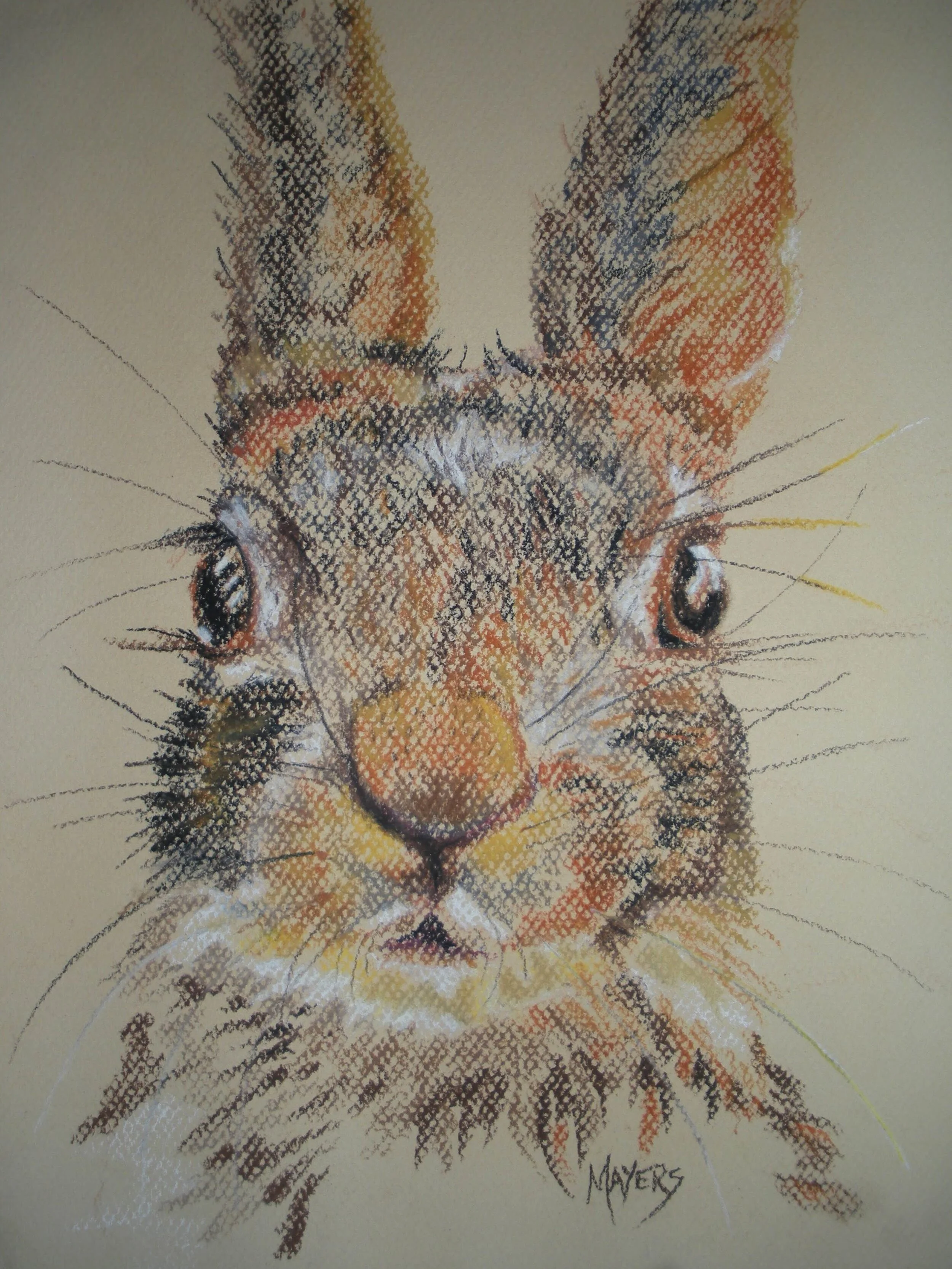 The Brown Bunny (2014) 
9" X 12" Chalk Pastel CAD$80