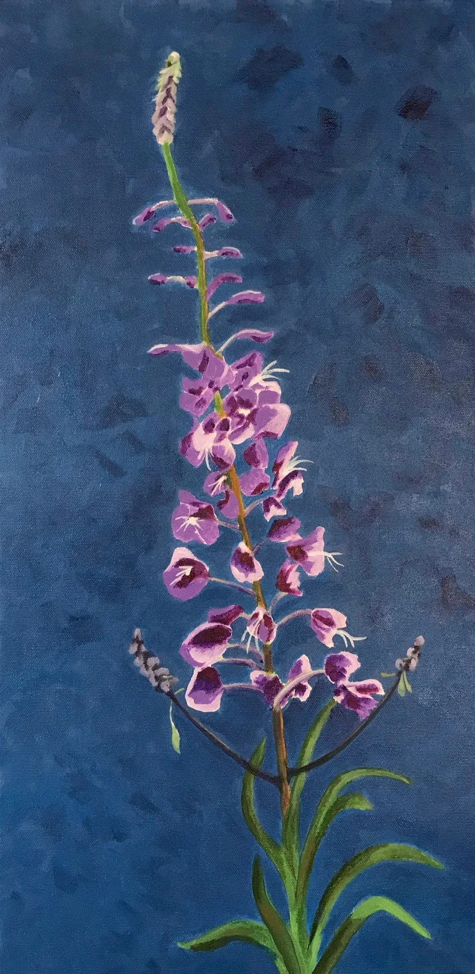 Fireweed
Acrylic on Canvas
12" x 24"
$180 CDN