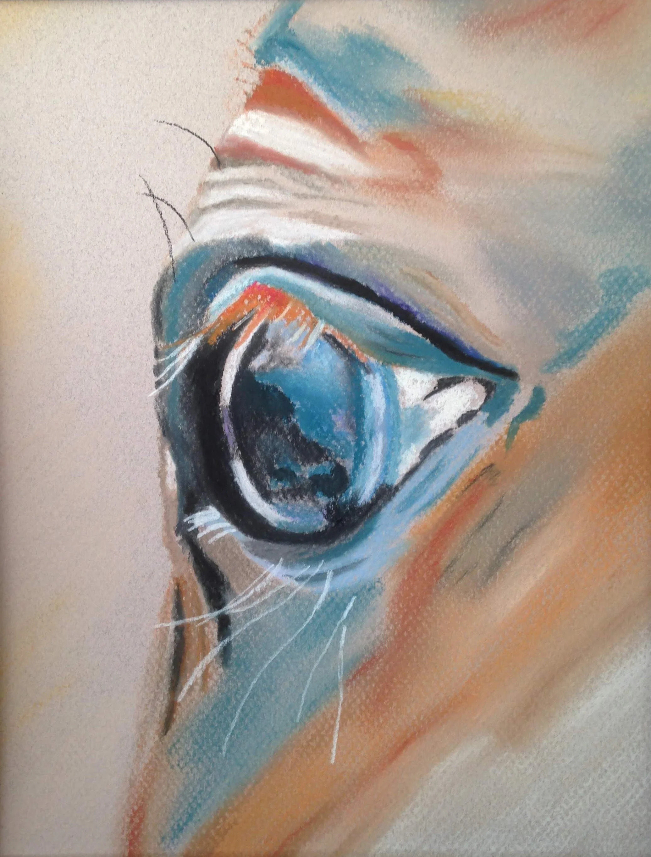 Horse's Eye
Chalk Pastel SOLD