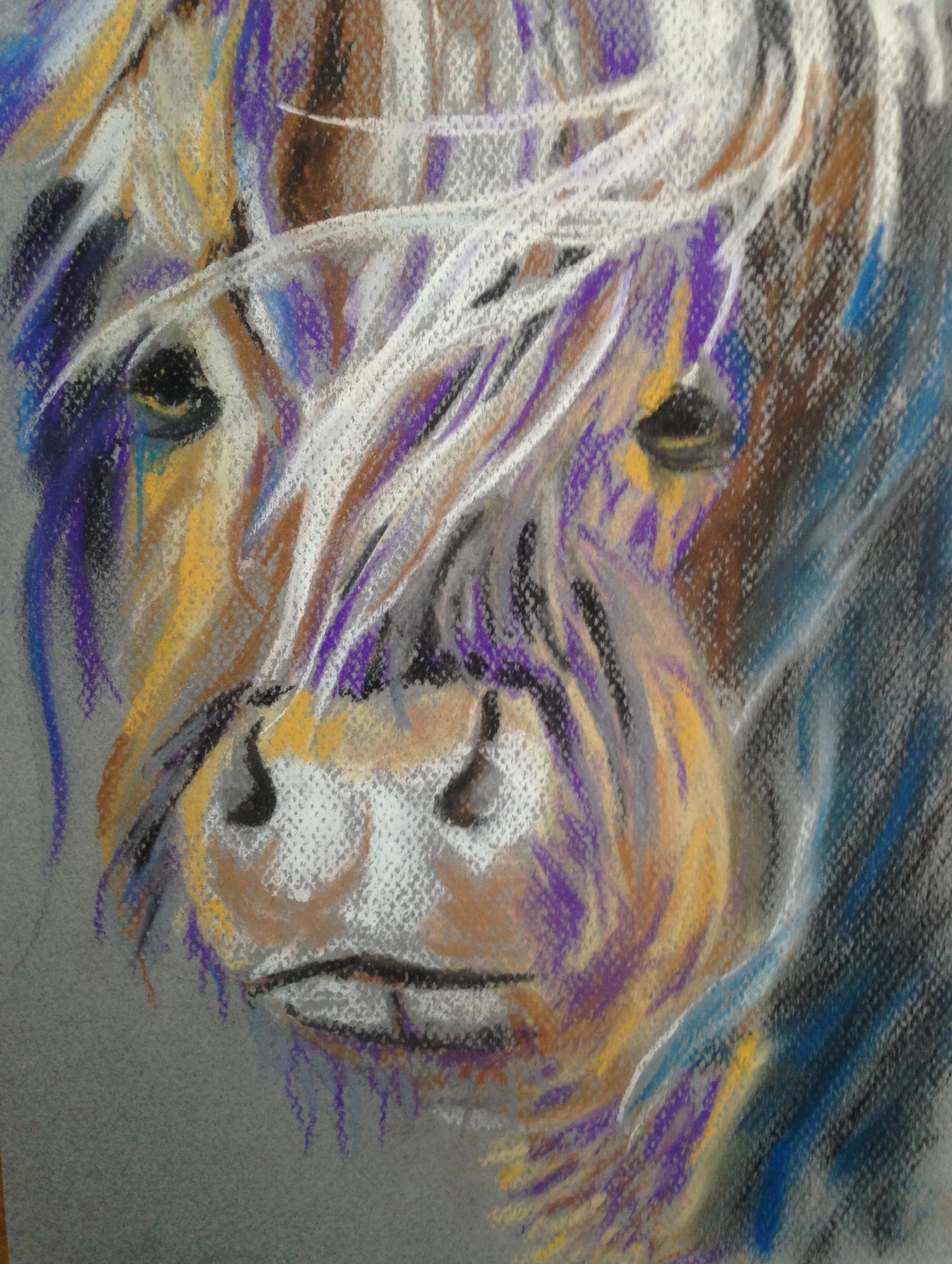 Highland Cow 
9" X 12" Chalk Pastel CAD$80