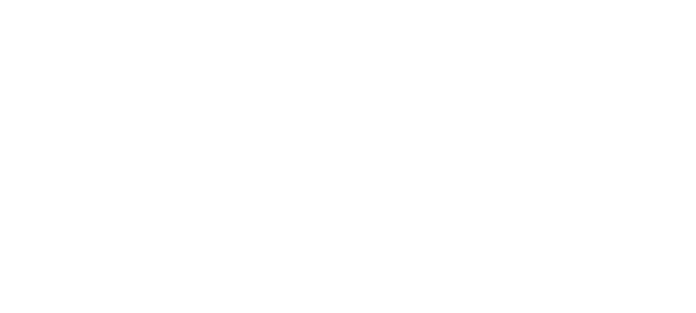 REACH YOUR GOALS FASTER