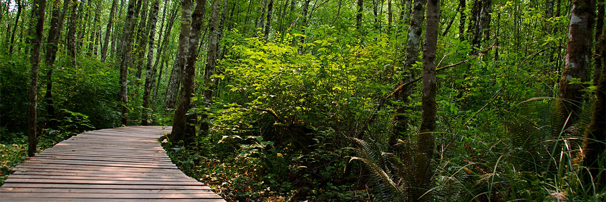 10: Duthie Hill Mountain Bike Park