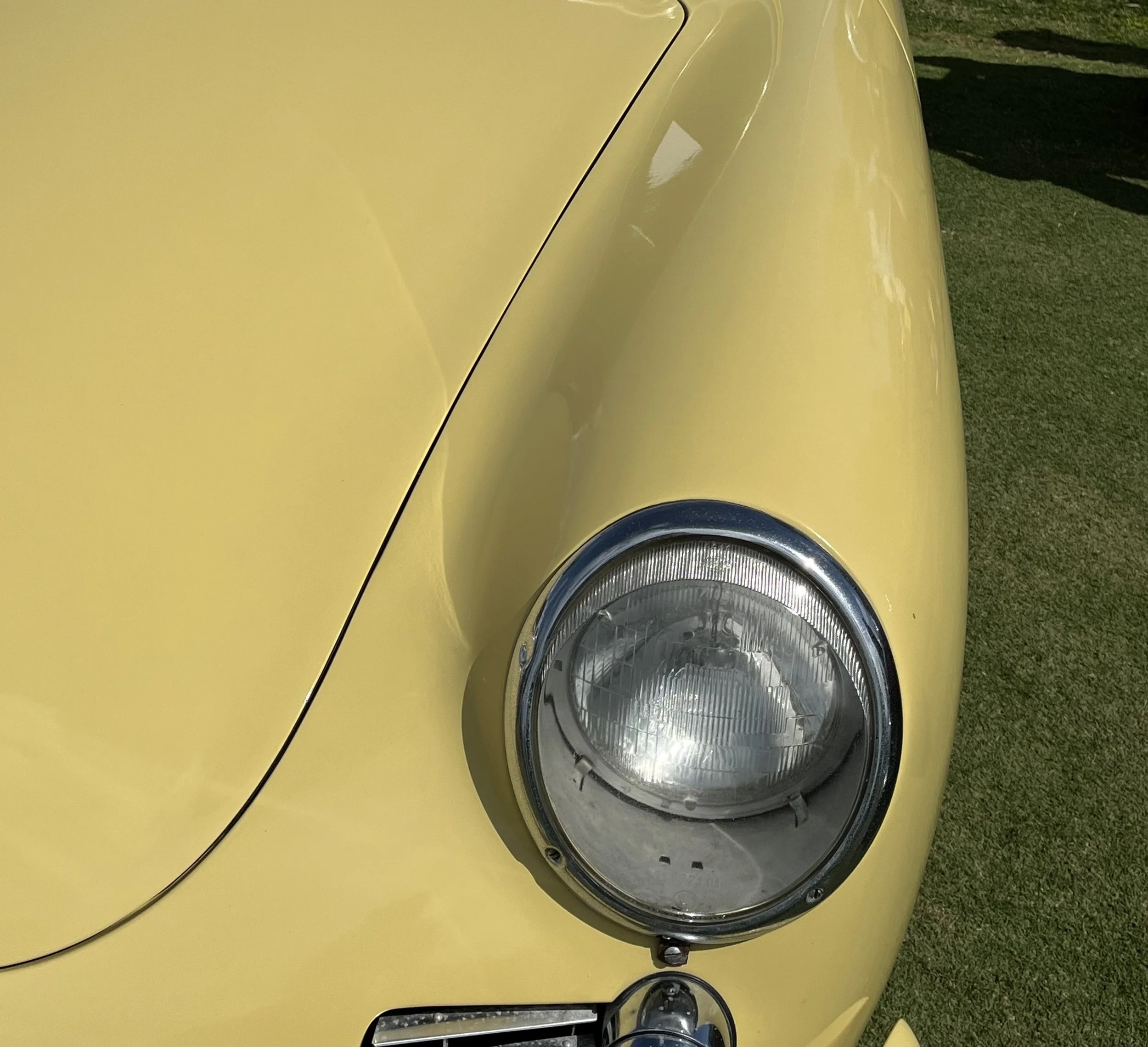 IMG_1379.jpeg