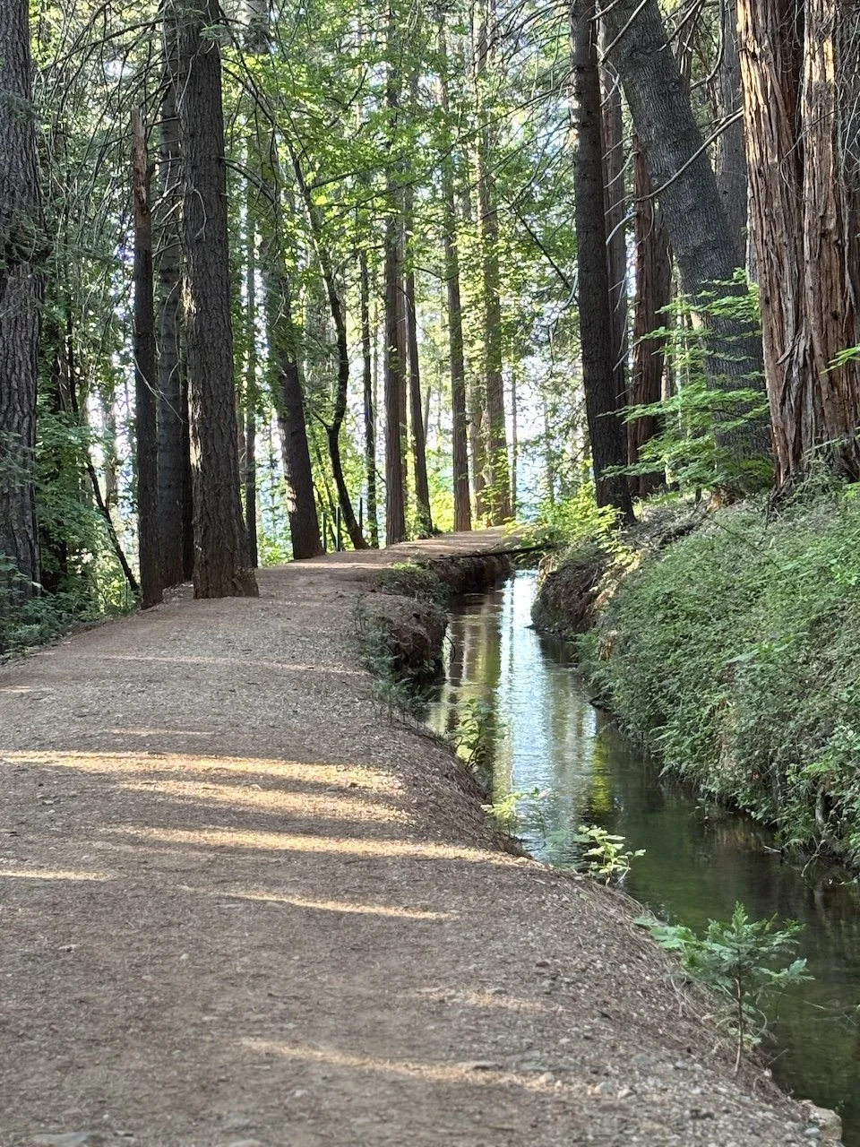 The Cascade Trail Canal