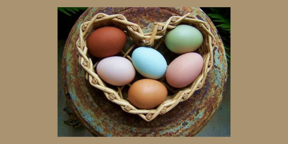 Whistling Hen Homestead