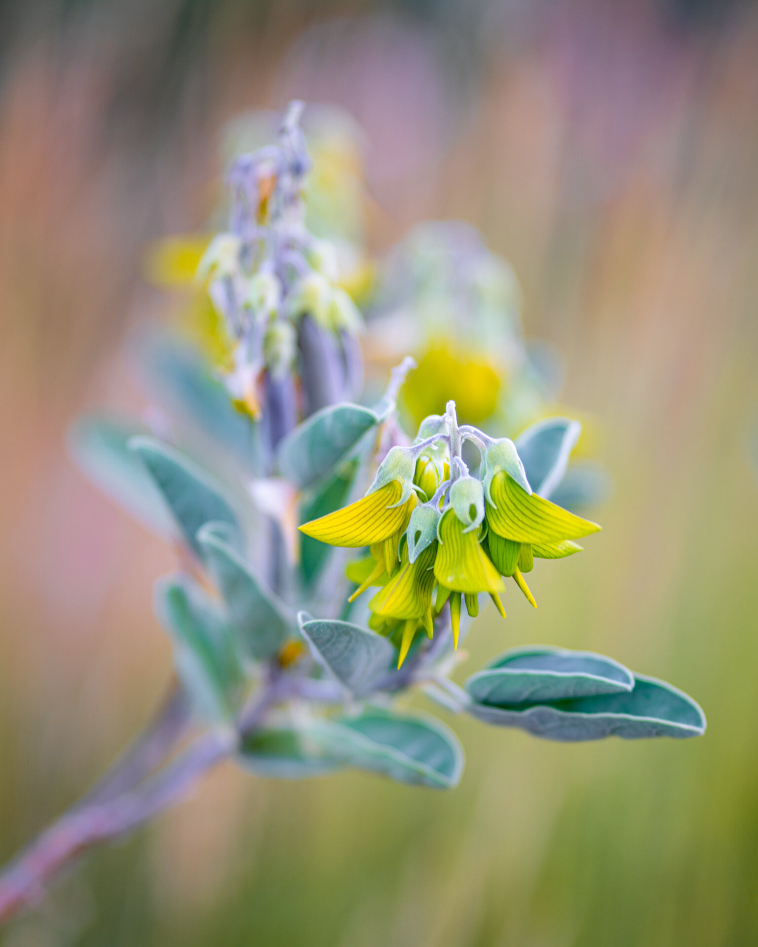 AJC-King'sPark-085.jpg