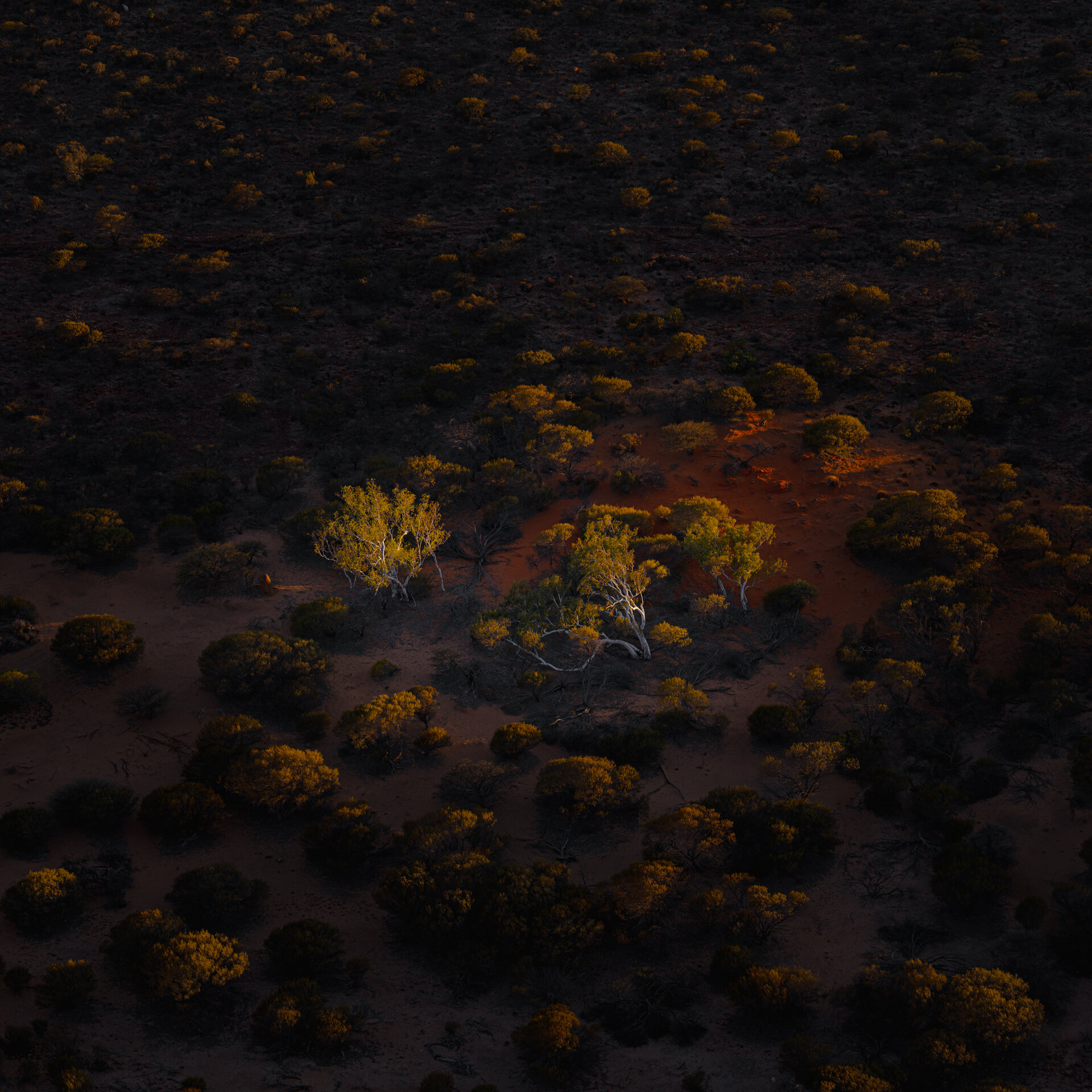 From the skywalk at sunrise.

Sony a7RV + 24-70mm GM II
ISO 100 | f4 | 1/80s

#outboundphototours @outboundtours.au