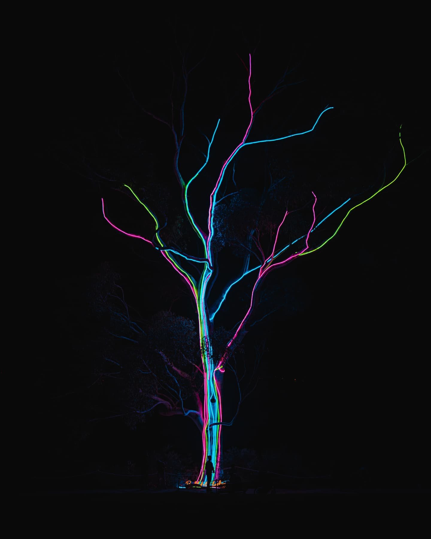 Had an awesome time checking out Perth Lightscape in @kingsparkandbotanicgarden with @sonyalpha.anz a few weeks back - highly recommend!!

#lightscape #cityofperth #cityoflight #sonyalphaanz #sonyscene