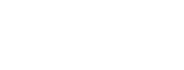 The Team — Absolute Global Partners LLC