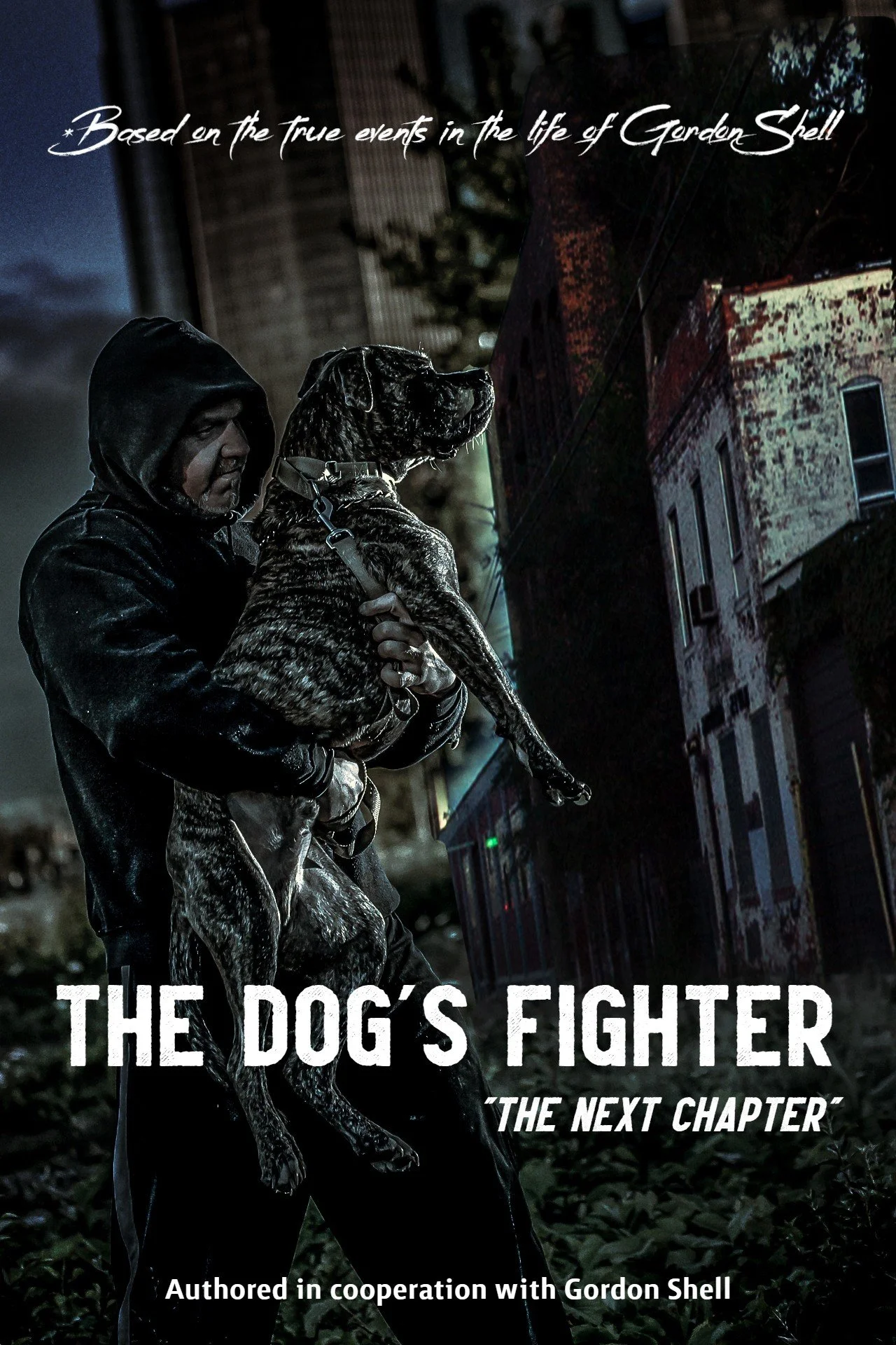 Book Cover version 1.jpg