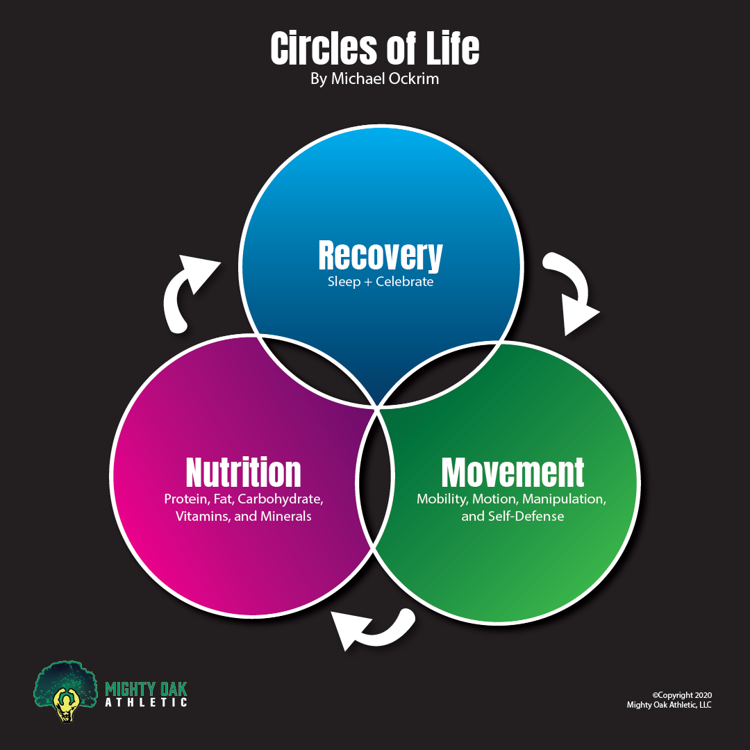 Circles of Life.png
