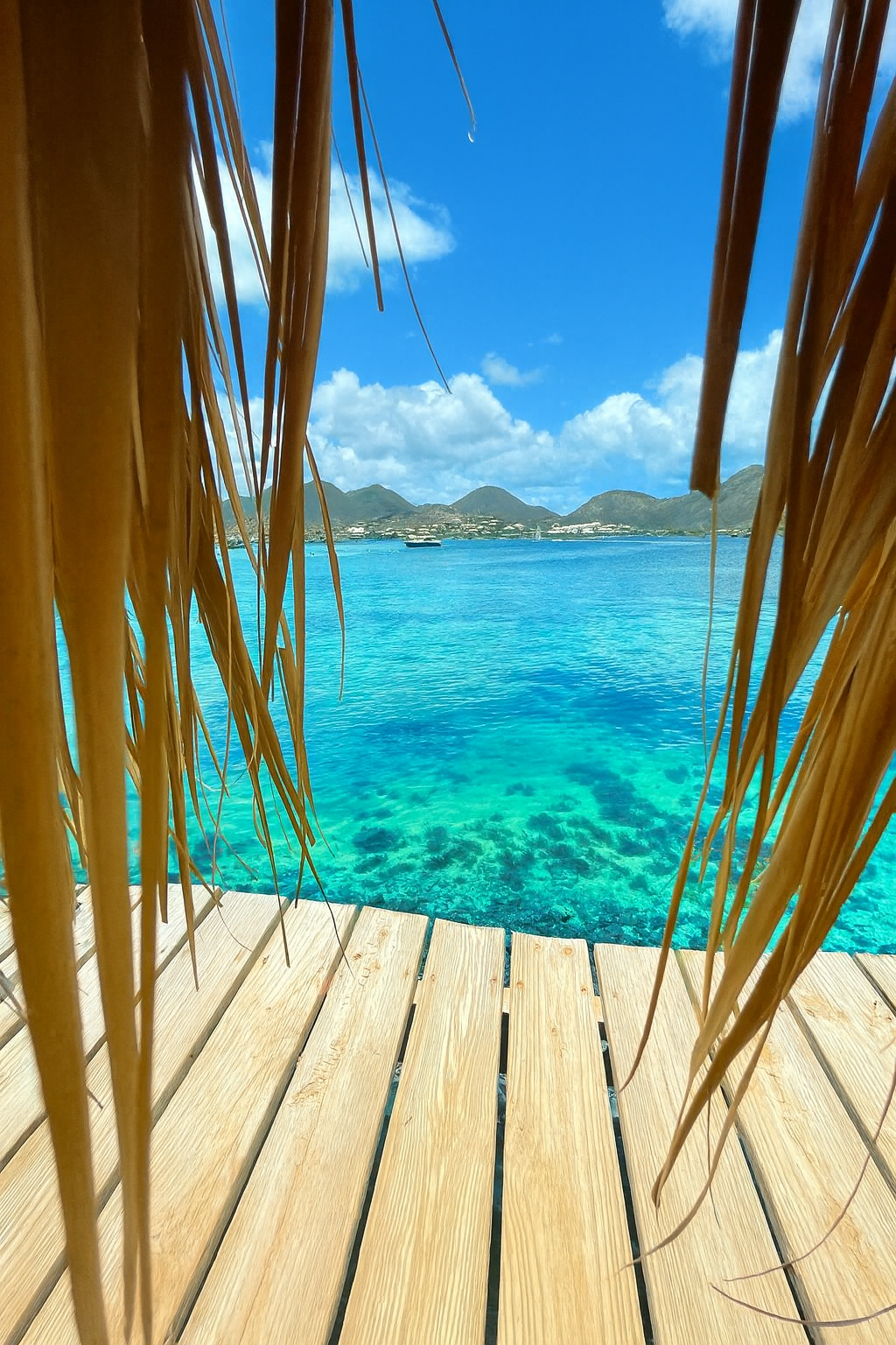 View from a shaded wooden deck framed by palm fronds overlooking turquoise Caribbean waters and the coastline of St. Martin during a GoodLiving Charters excursion.