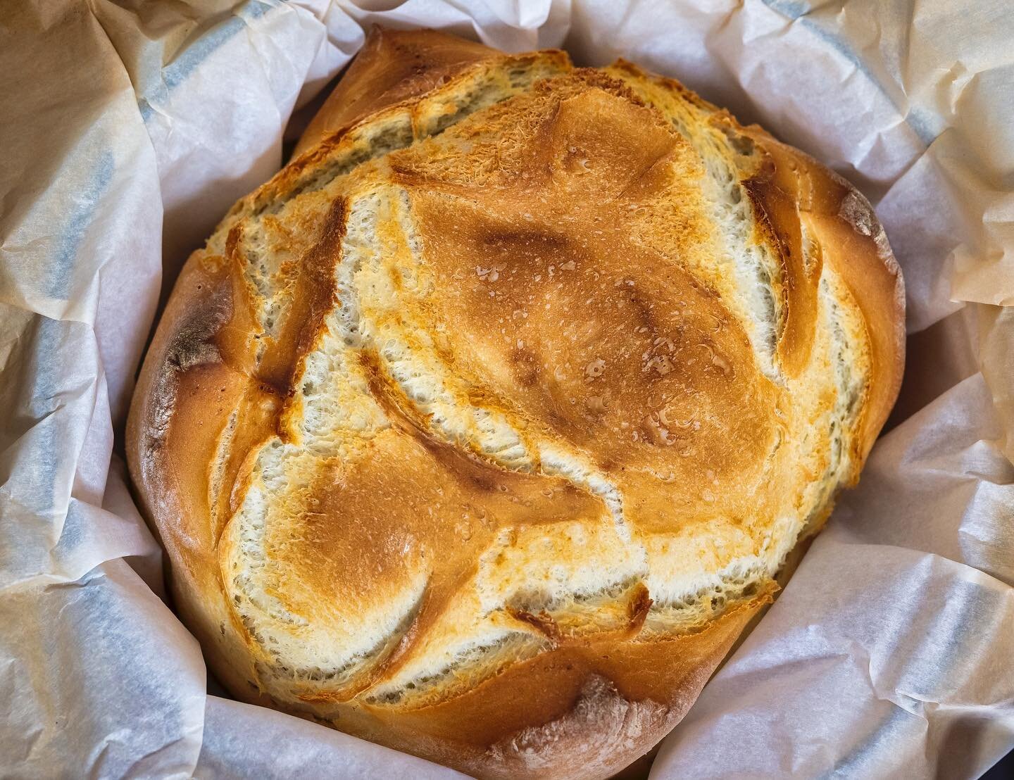 From the moment the dough is lovingly kneaded to the second it emerges from the oven, I pour my heart and soul into every loaf. 🙌🏼👩&zwj;🍳 The result? A symphony of flavors and textures that will leave you craving more. 😋

#freshbakedbread
#white