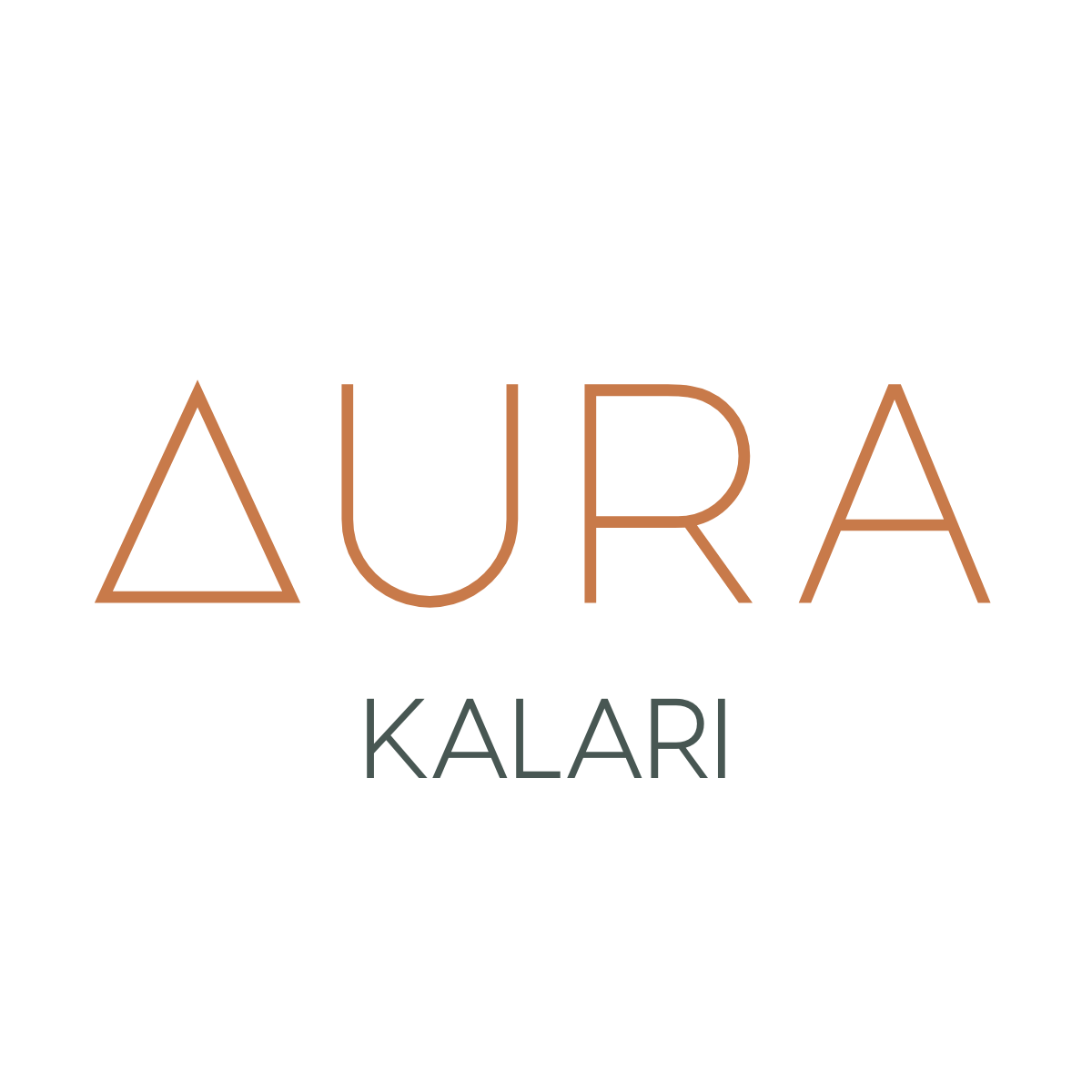 4-Week Kalari Series Saturdays @ 11:30 am Starting November 21st