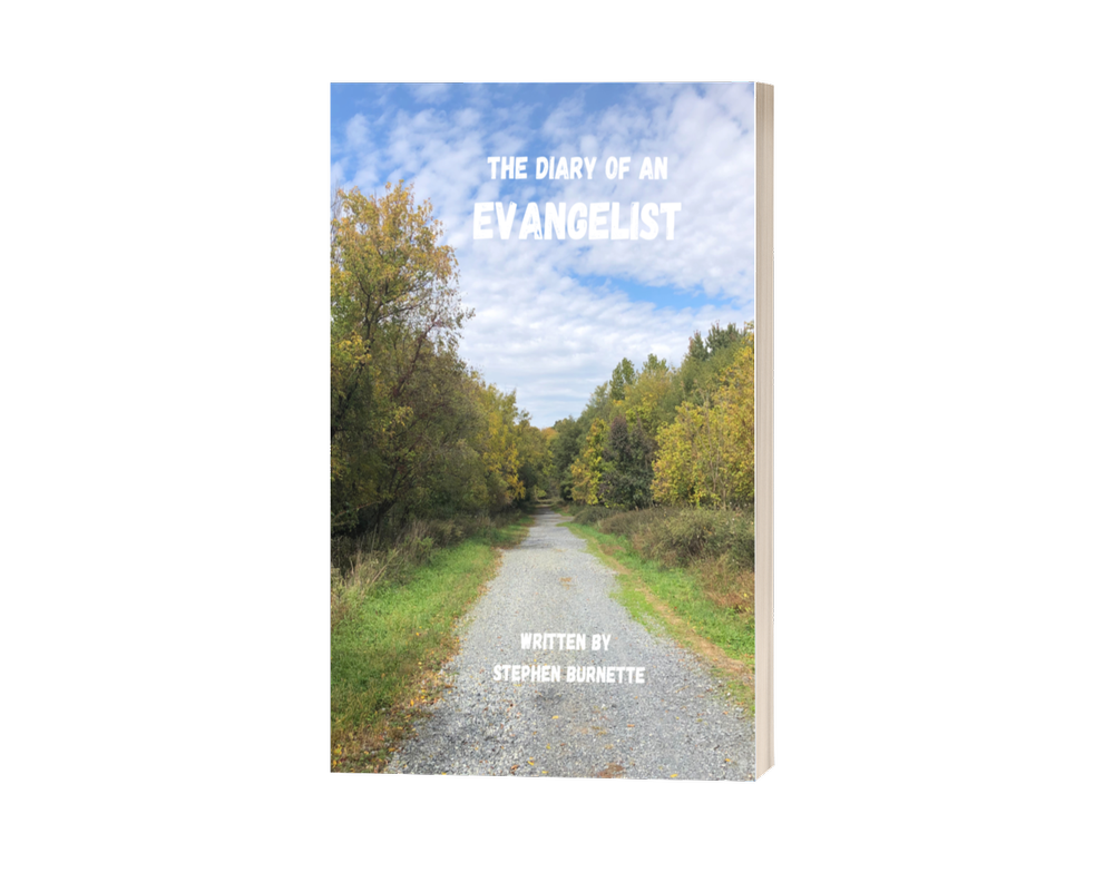 diary of an evangelist paperback pic.webp