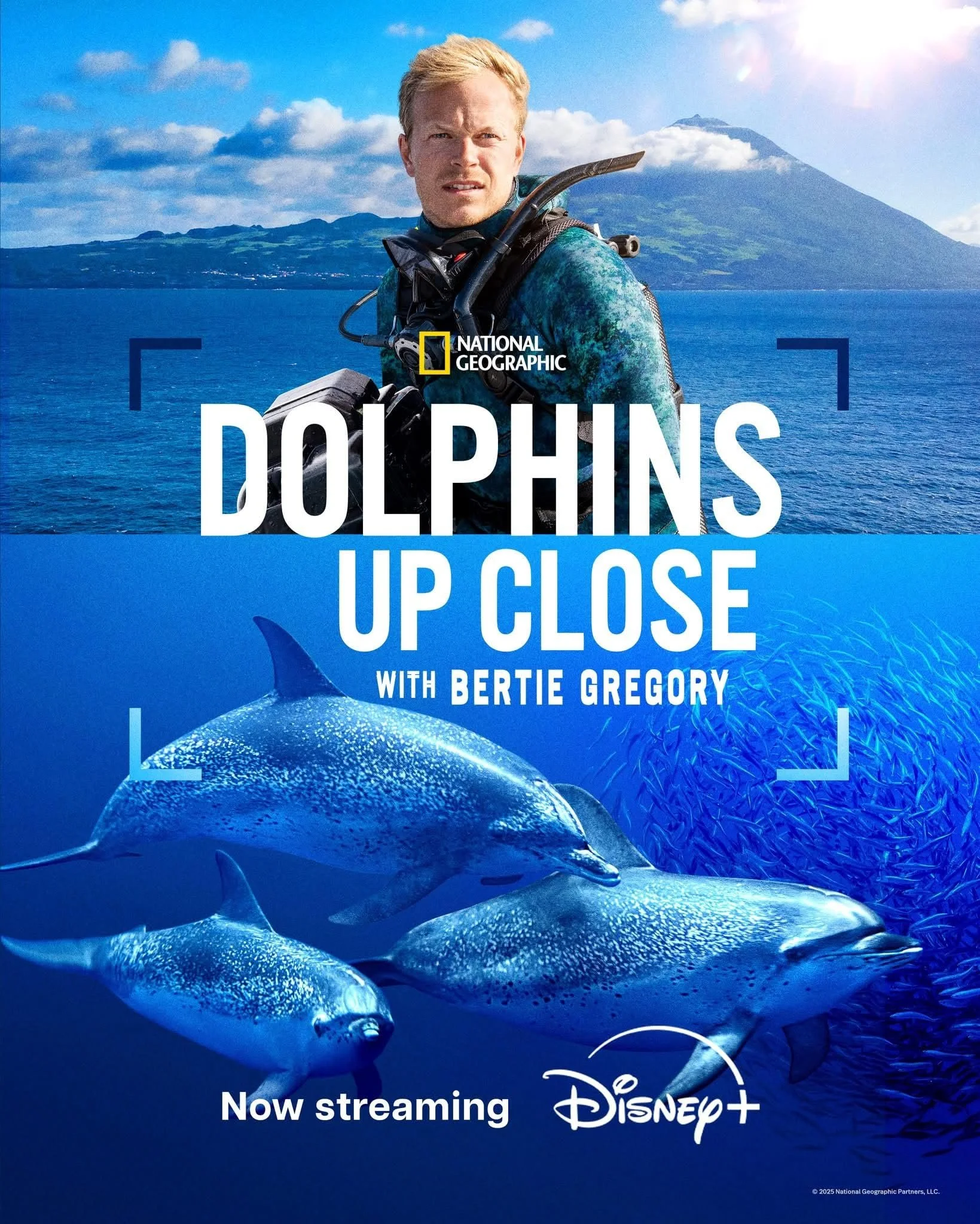 Poster for National Geographic's 'Dolphins Up Close' with Bertie Gregory, featuring a diver on water with mountains in background above and swimming dolphins below, with streaming information for Disney+