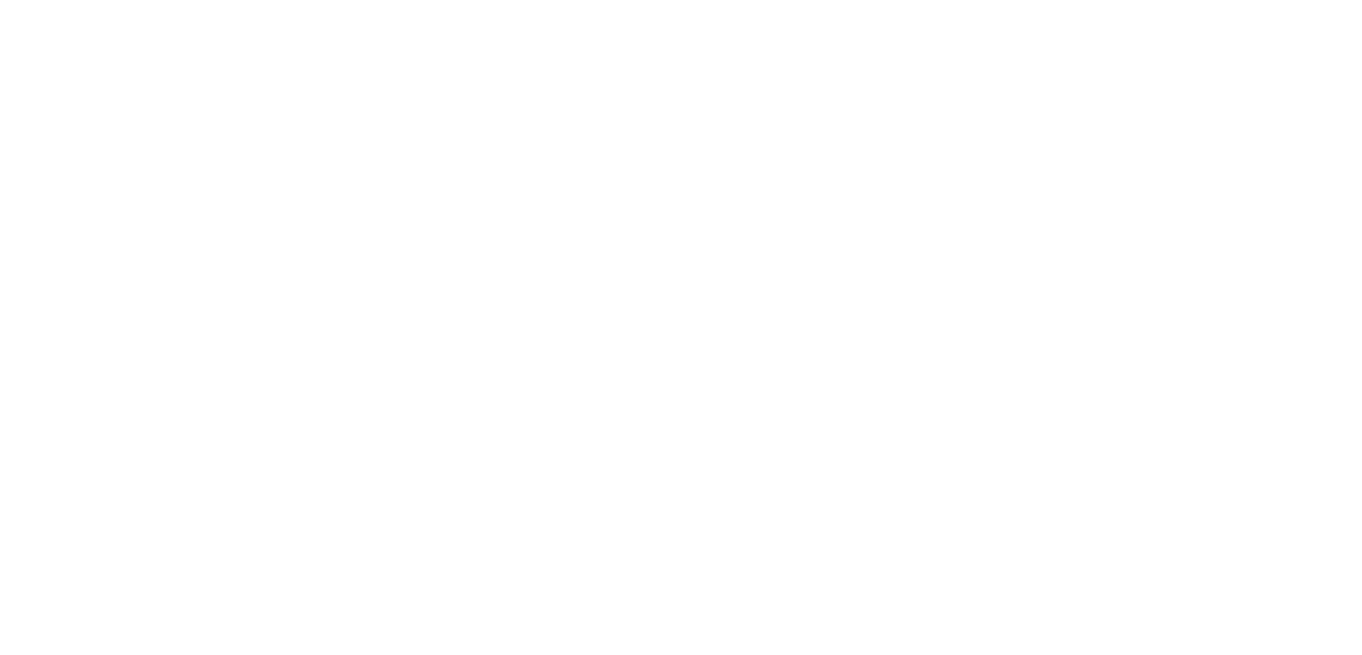 Wildstar Foundation