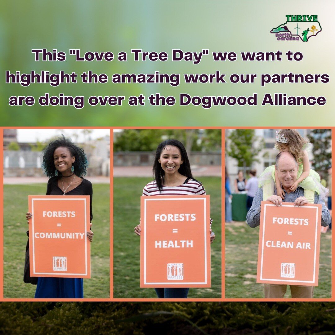 Trees are a vital part of nature, yet they're not treated with the love, respect and care that they deserve. 

With forests we have cleaner air and healthier communities. Without them we have urban heat islands and smog.

This #loveatreeday, we want 