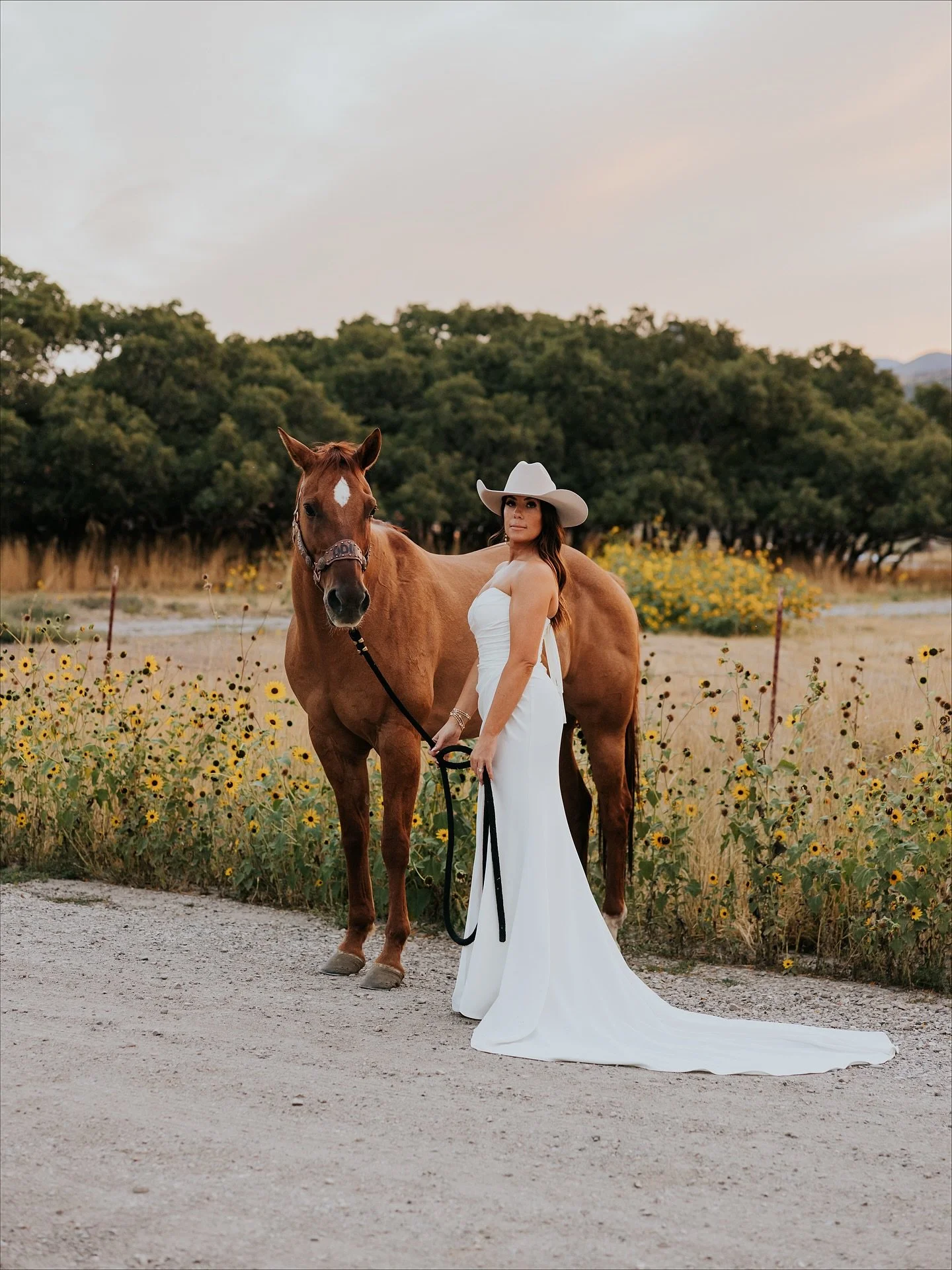 Bridals with horses are my new favorite thing 🤍
.
.
#utahweddingphotographer #utahhorses #westernwedding #utahportraitphotographer #utahbride #utahbridals #utahcouplesphotography #utahphoto #slcweddingphotographer #slcphotographer #slcportraitphotog