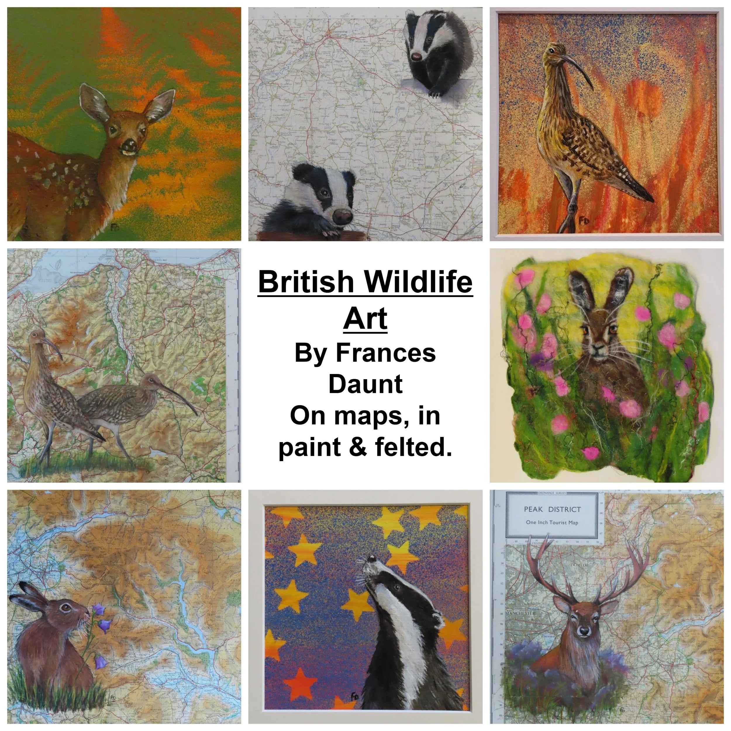 Frances Daunt Exhibition