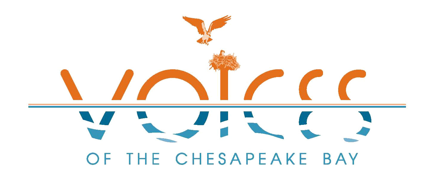 Voices of the Chesapeake Bay 