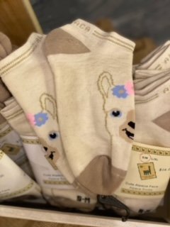 image12.jpeg