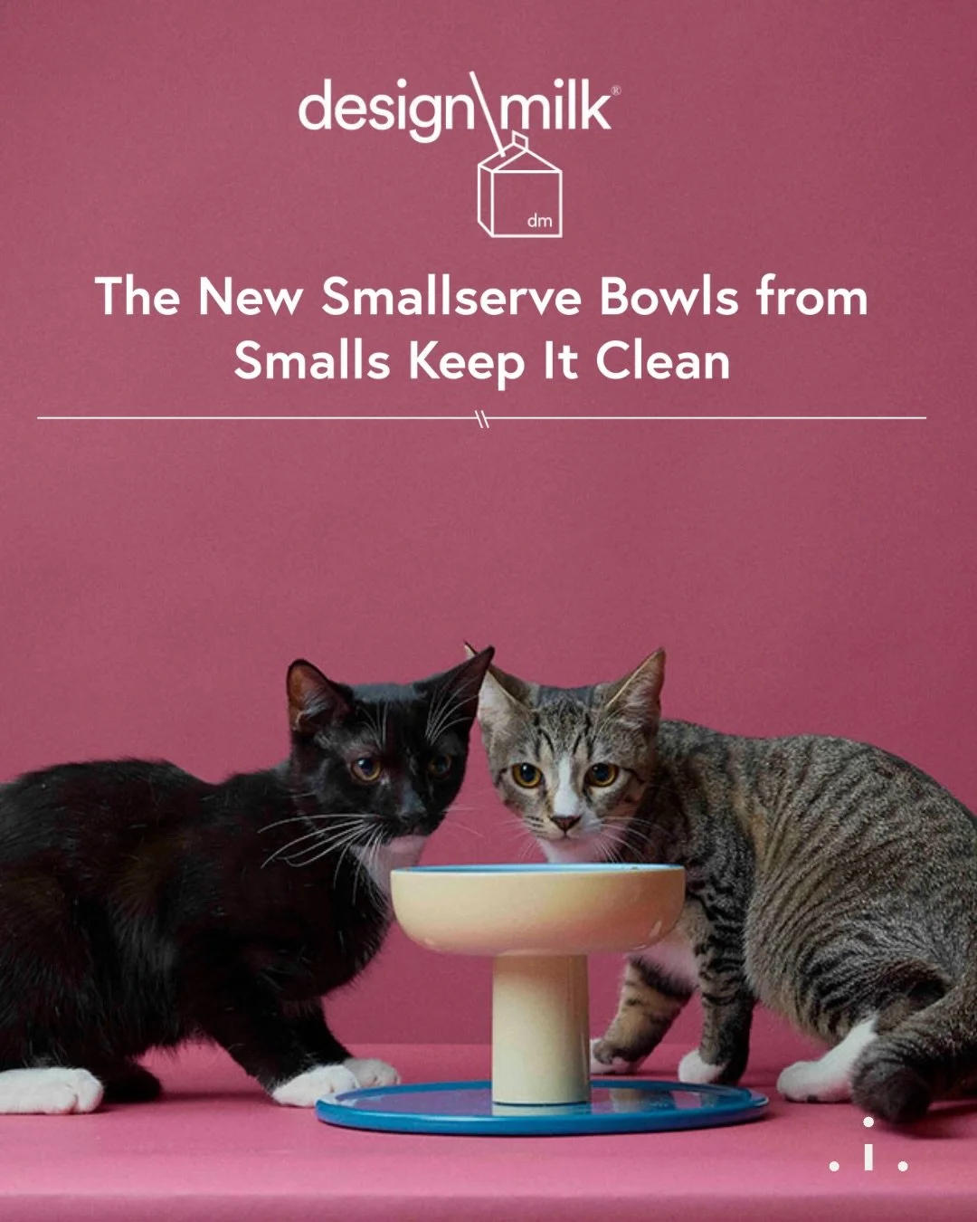 Aria Lee on @smallsforcats for @designmilk