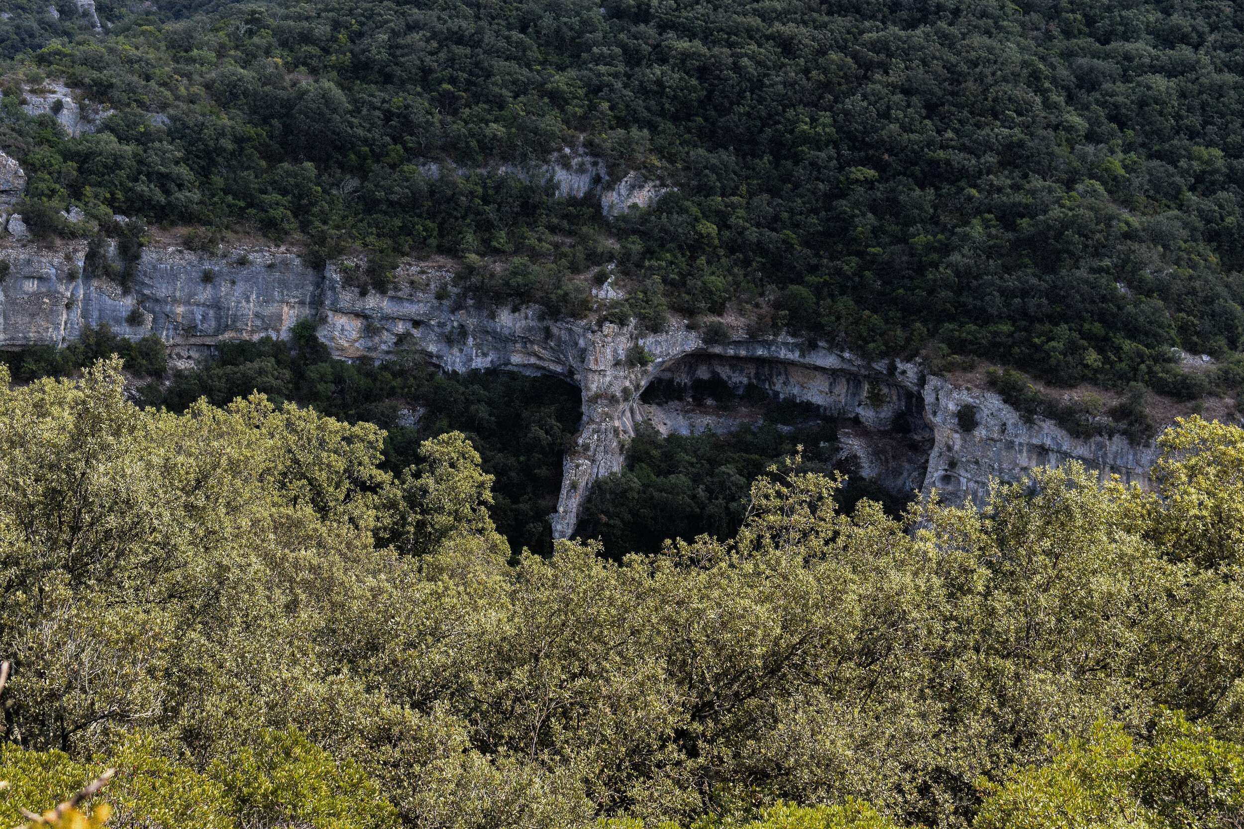 DSC_0342.jpg
