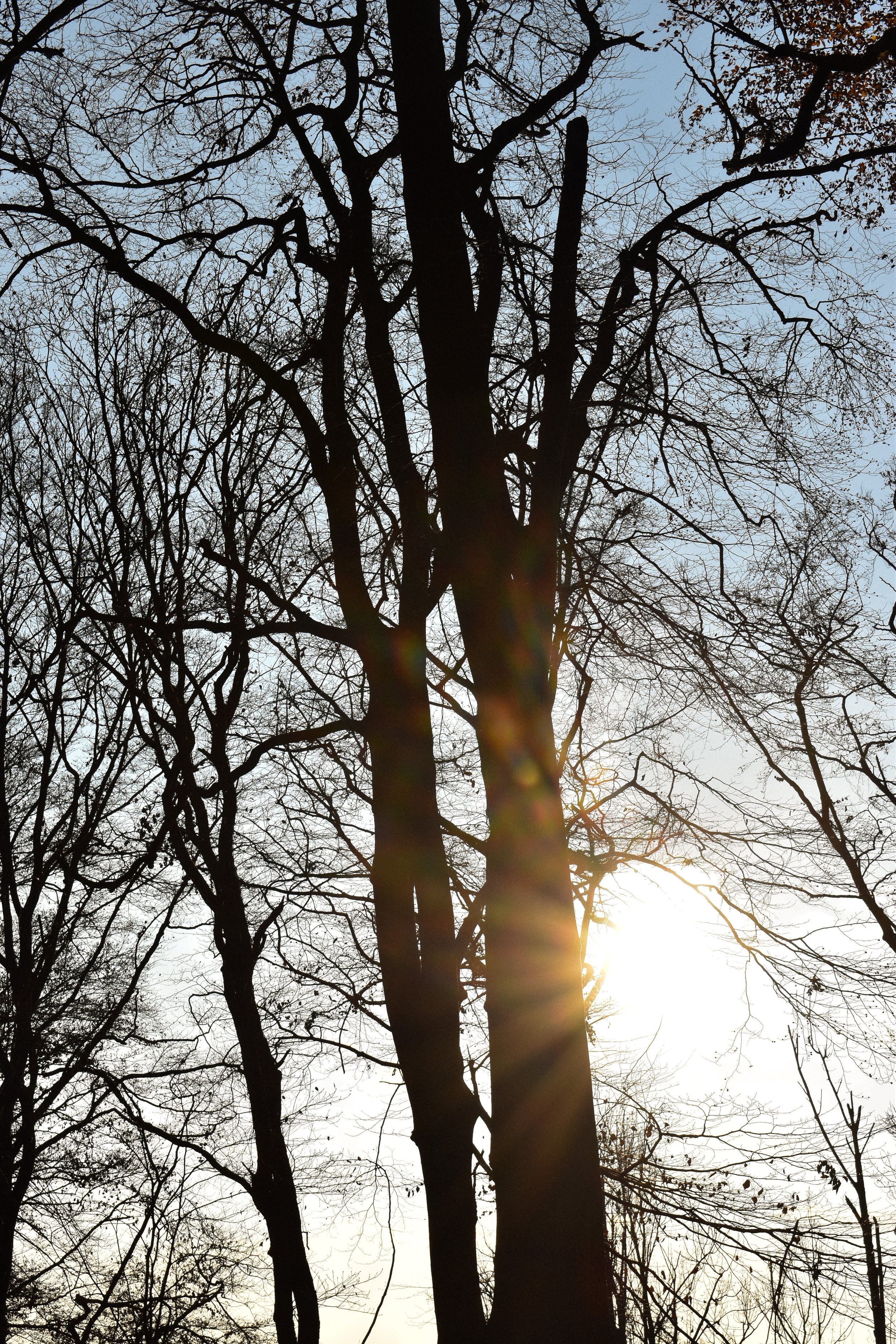 DSC_0241.jpg