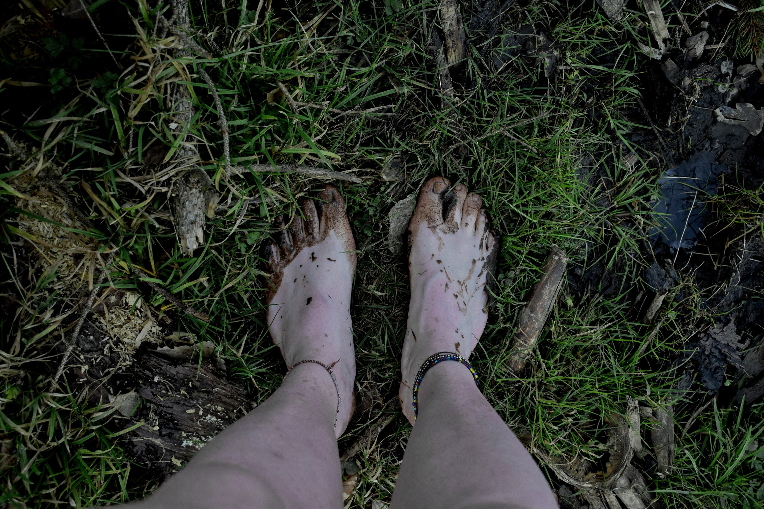 DSC_0036.jpg