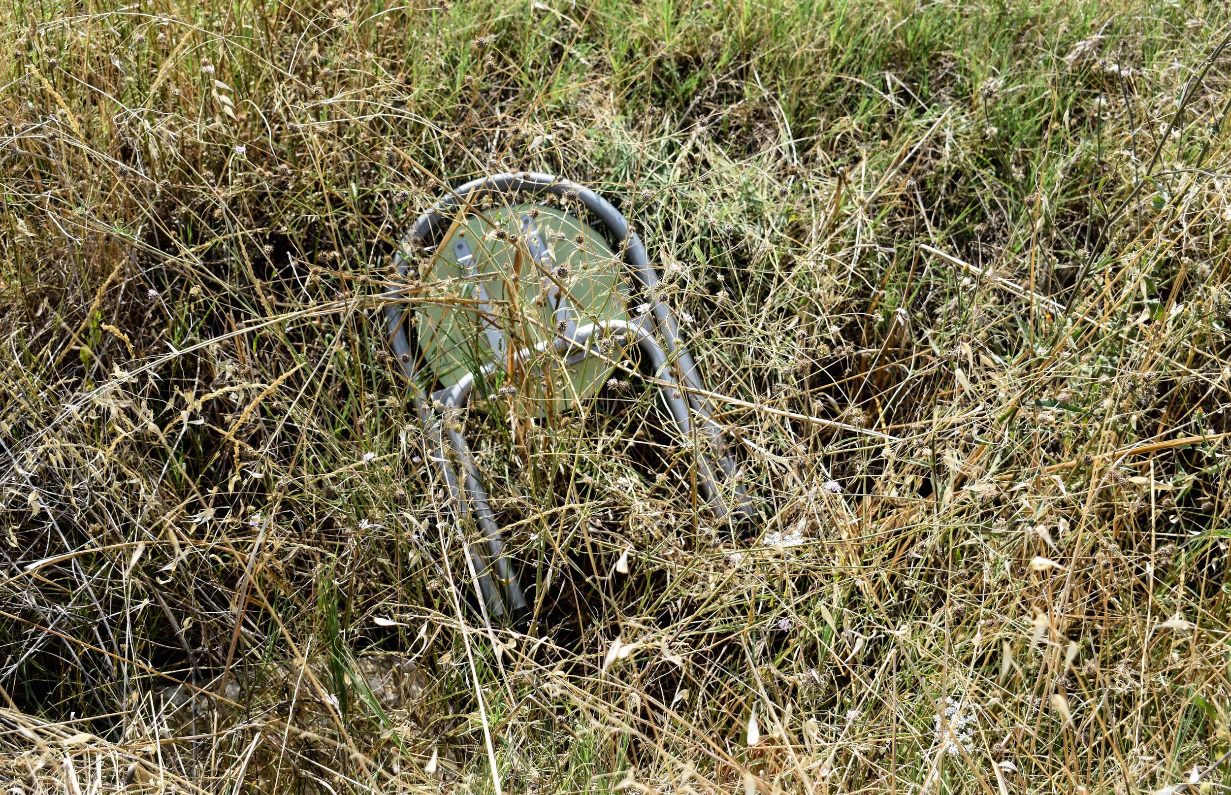 DSC_0275_LQ.jpg