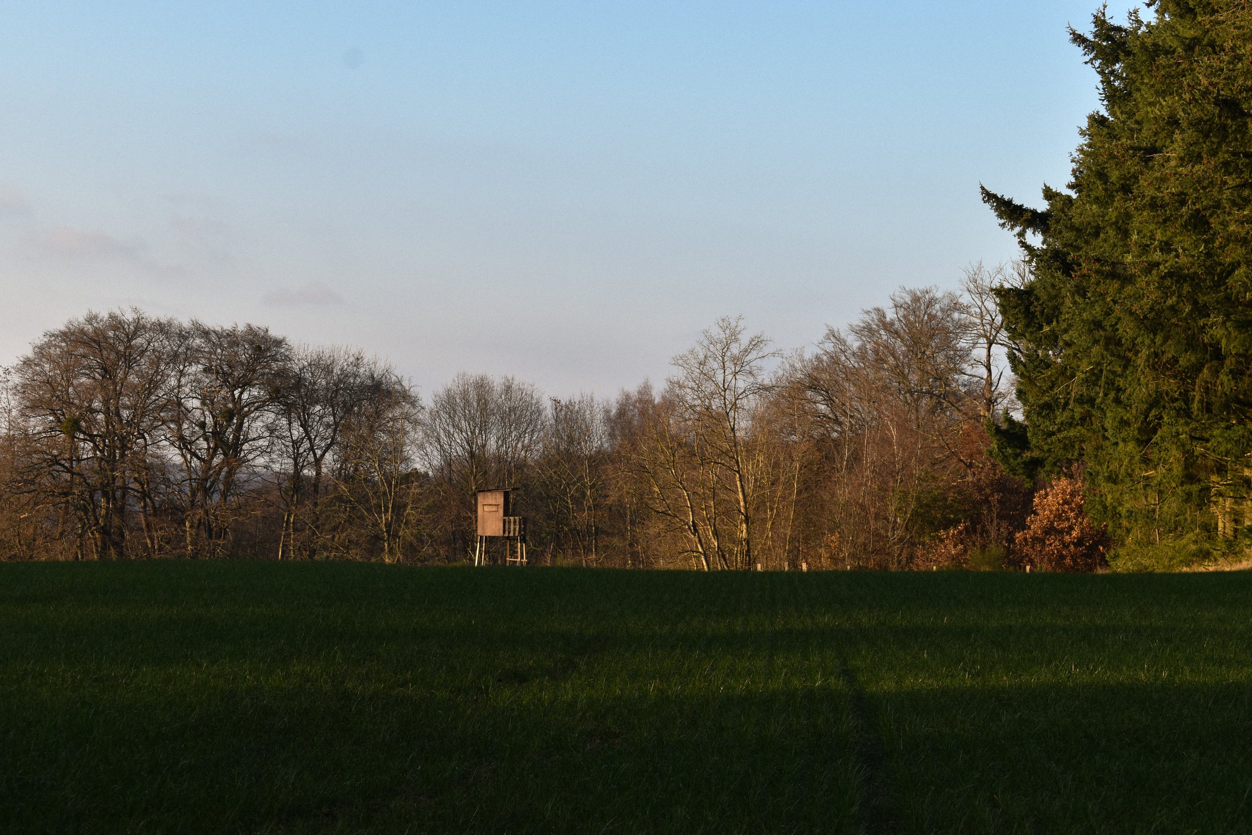 DSC_0257.jpg