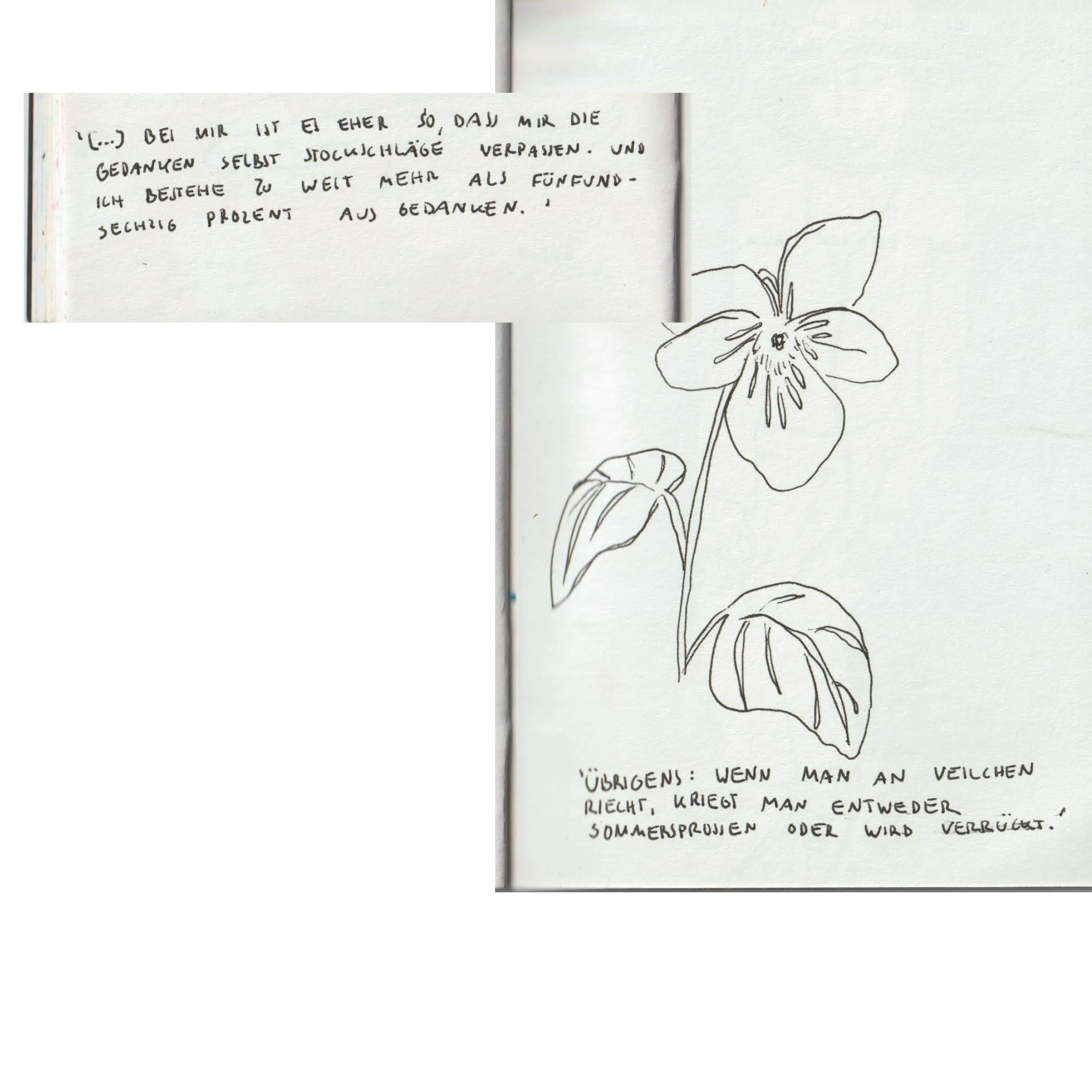 bervard_2021.12.029.jpg