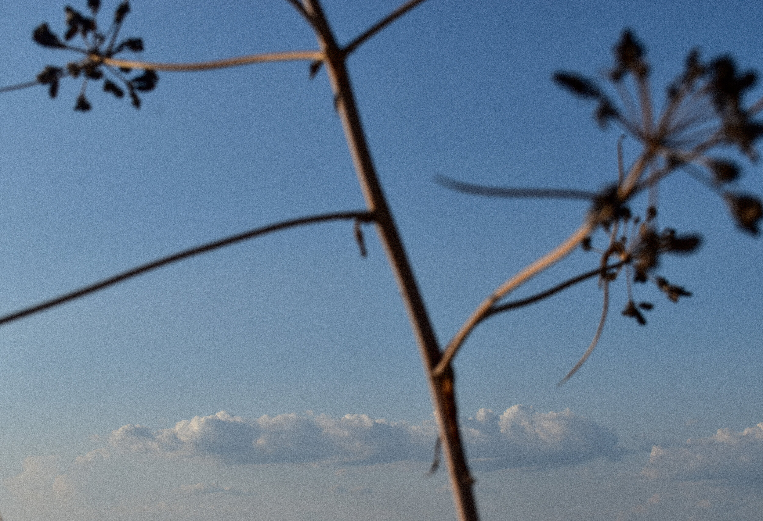DSC_0464.jpg