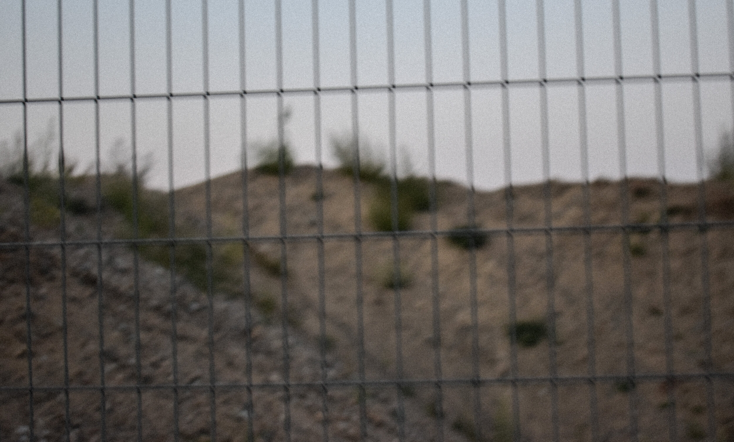 DSC_0415.jpg