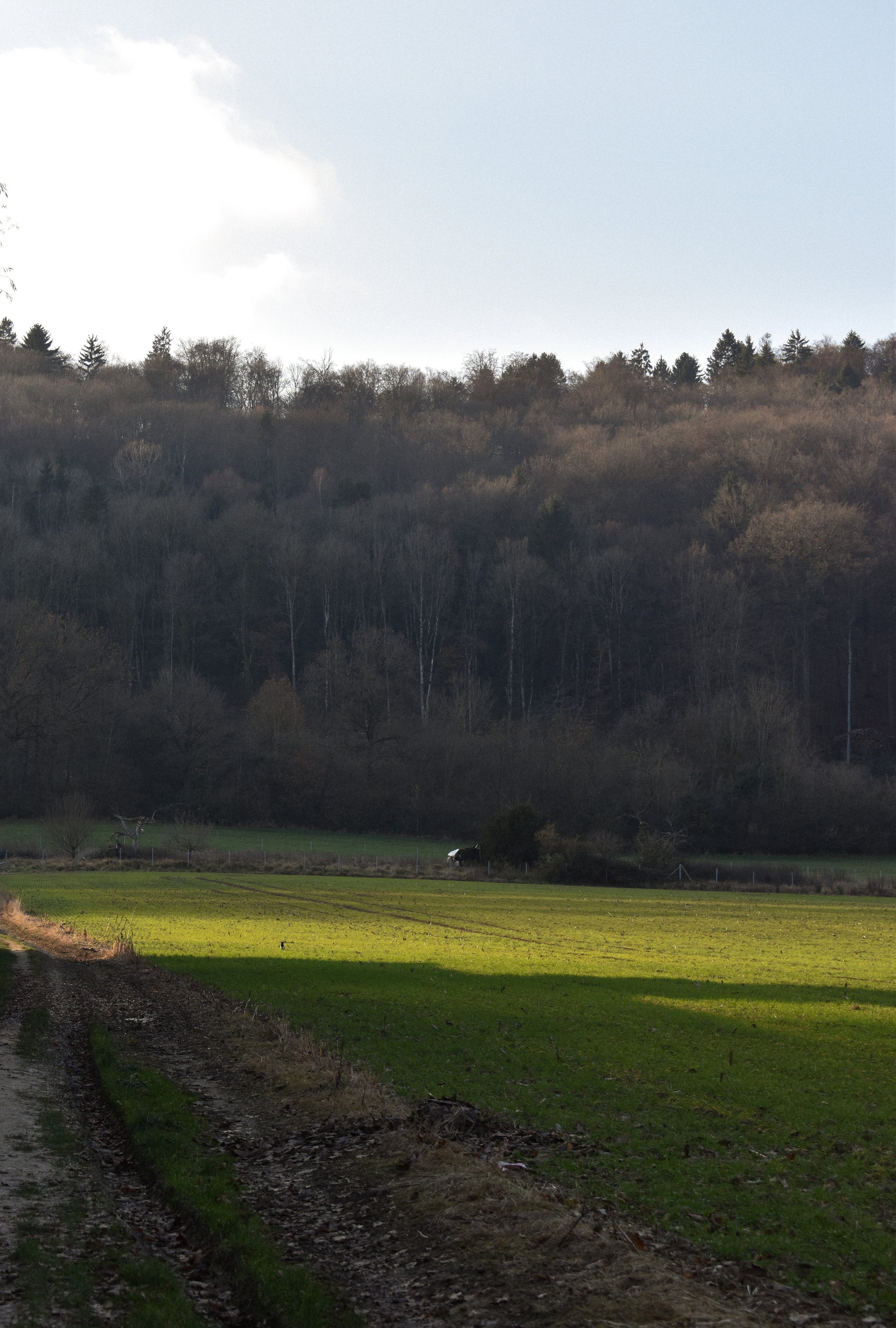 DSC_0178.jpg