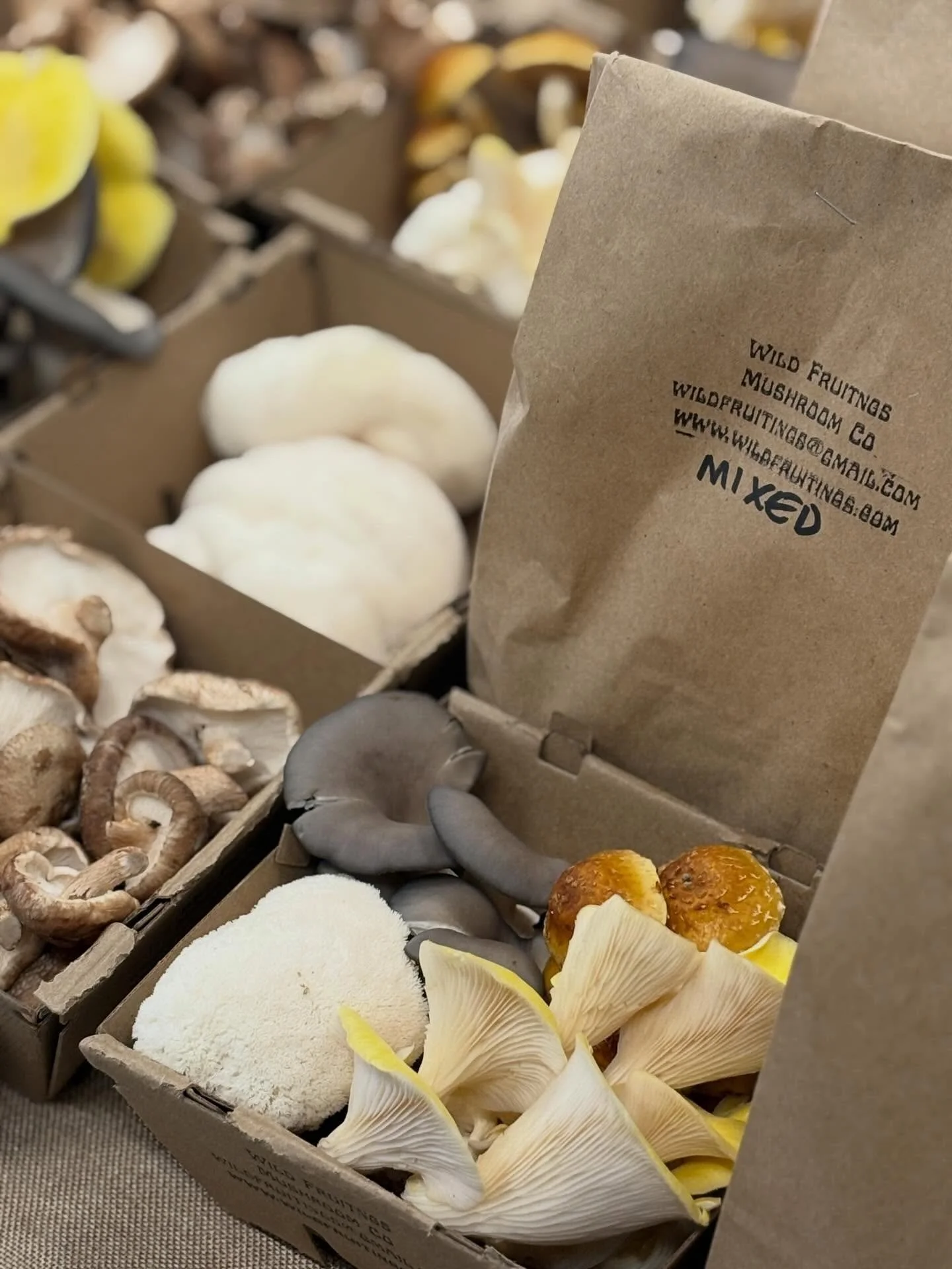 Spotted at market today!!!
@wildfruitings has spoiled you Augusta!
Market today 3-5:30pm at Buker

#augustamaine #mainemushrooms