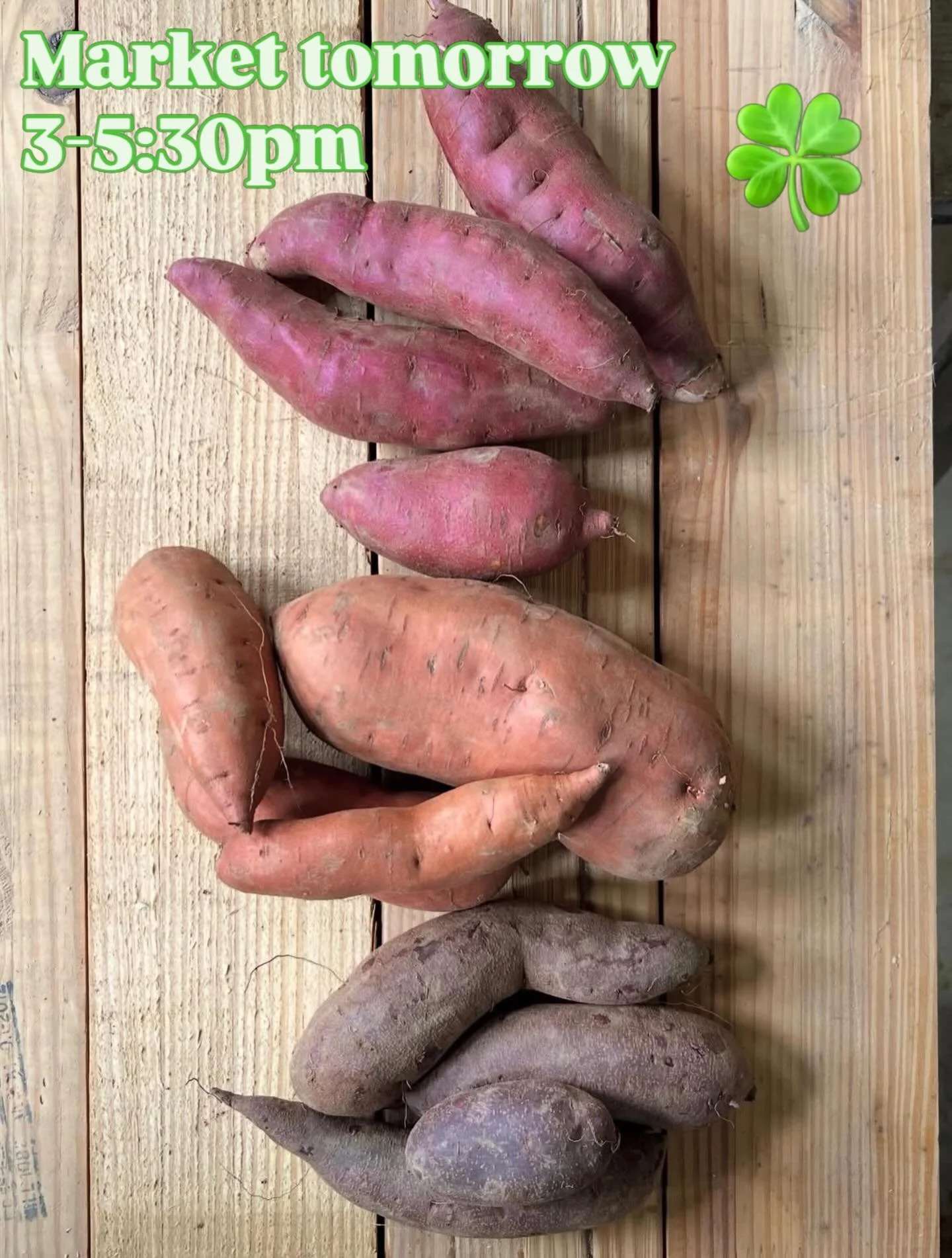 Market is on tomorrow and we have a full line-up at Buker 3-5:30pm.
Be sure to come out and see what&rsquo;s happening!

Photo from @goransonfarm 

#augustamaine #mainefarmersmarket #downtownaugustamaine #sweetpotatoes