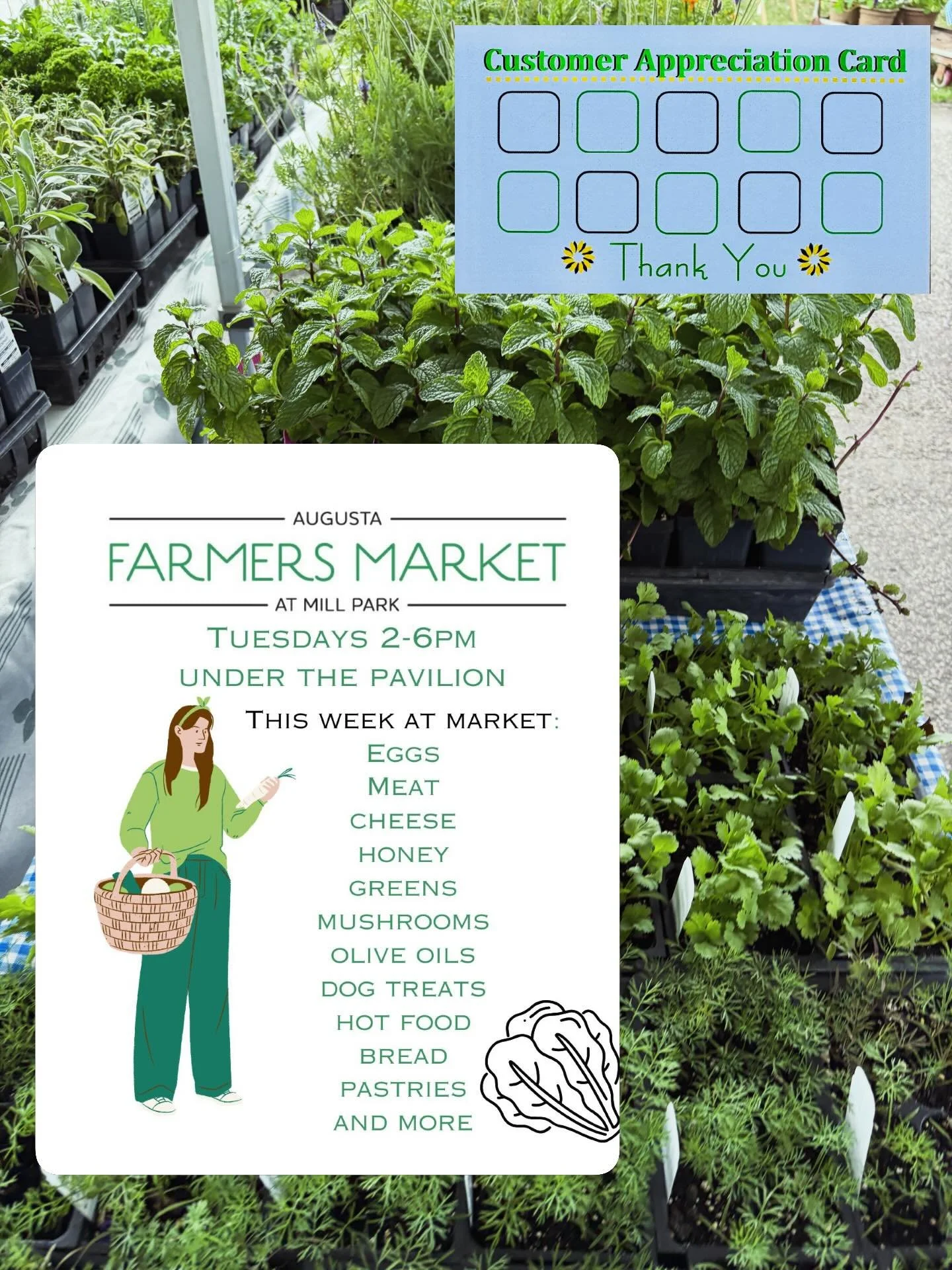 Customer appreciation cards tomorrow!
Don&rsquo;t miss snagging a card and filling it up to get entered into winning a bag of market goods!

Market tomorrow 2-6pm, see you tomorrow.

#farmersmarketatmillpark #tuesdays #augustamaine #downtownaugusta #