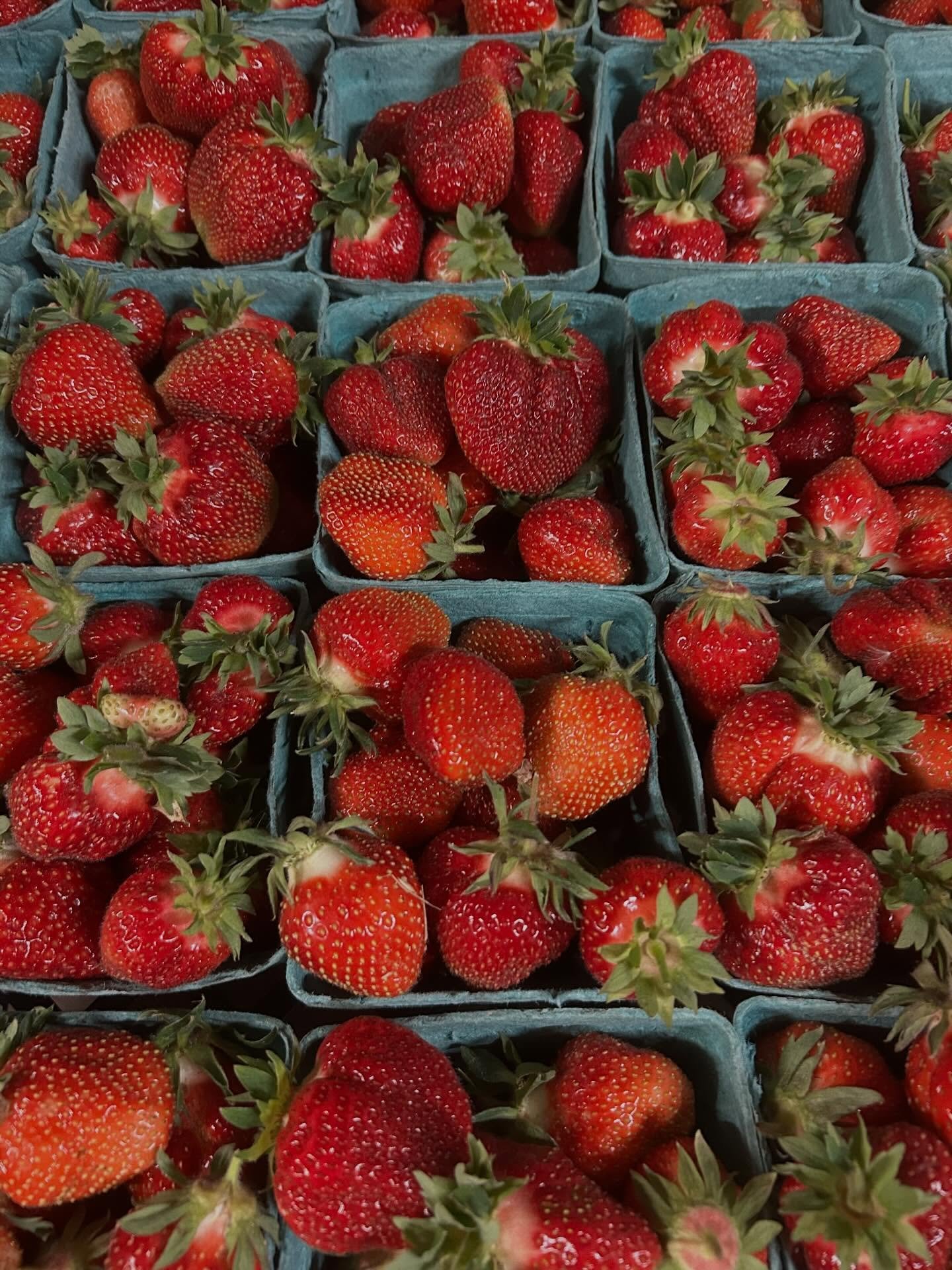 The ☀️ is shining and Market is on today!
2-6pm under the pavilion!

@andrewsfarm : will have fresh (and exceptionally sweet!) bunched carrots; crisp greenhouse cucumbers; awesome asparagus; and an assortment of early summer greens and baby roots cro