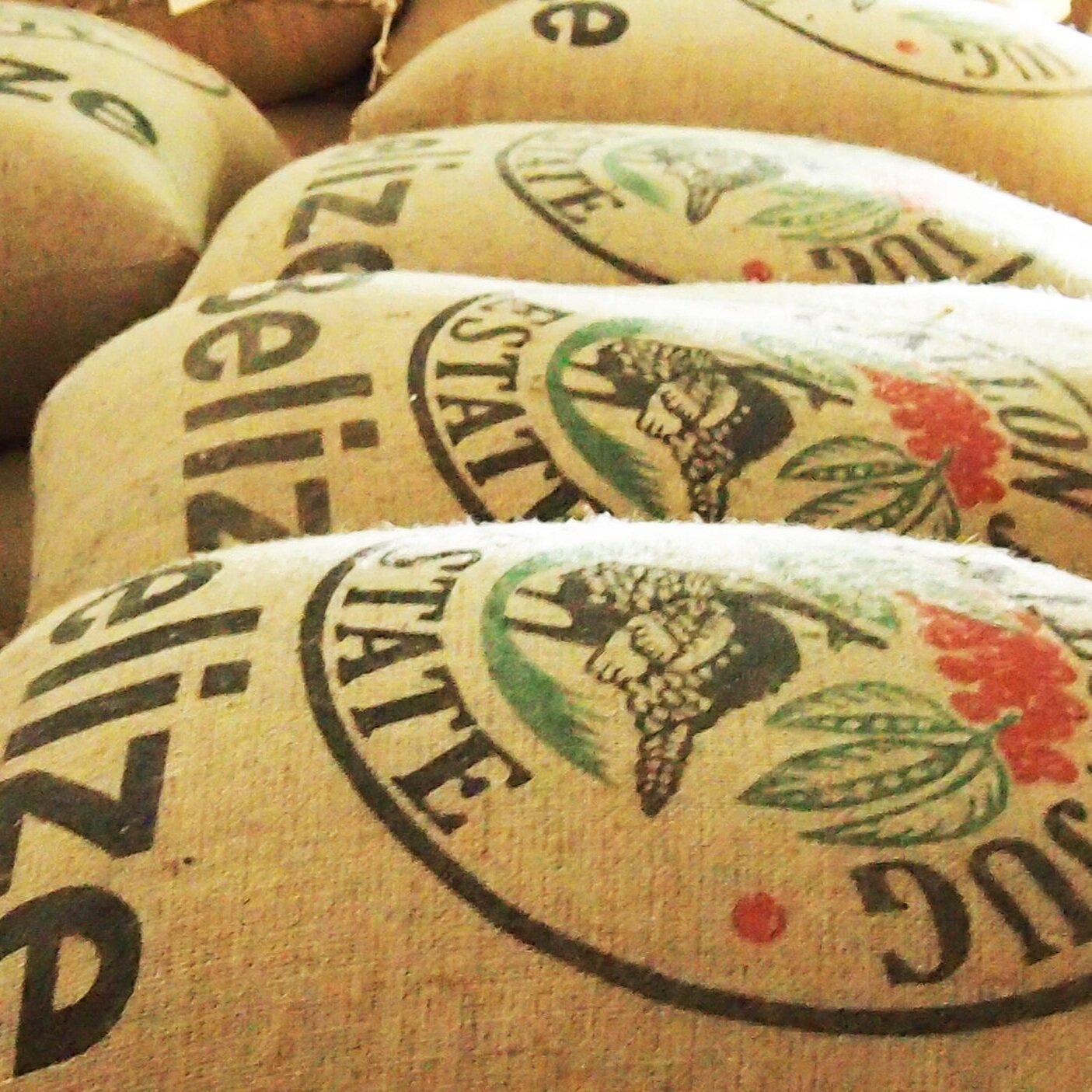 Gallon Jug 100% Artisan Dark Roast Coffee- 16oz — Belizean Coffee Beans