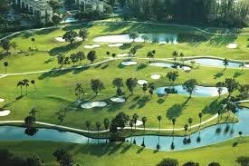 cc of miami.jfif