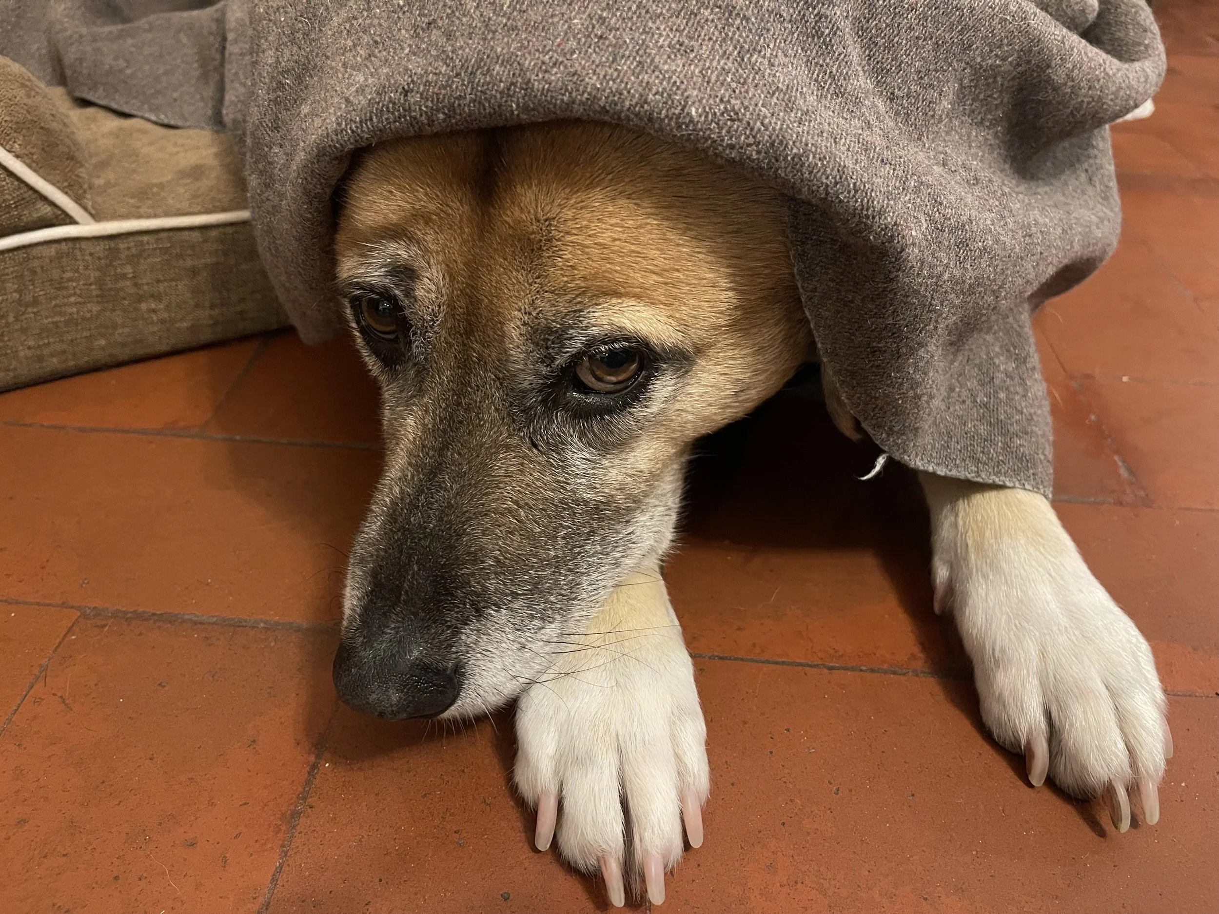 Practicing New Moves Under Stress: A Constraints-Led Approach