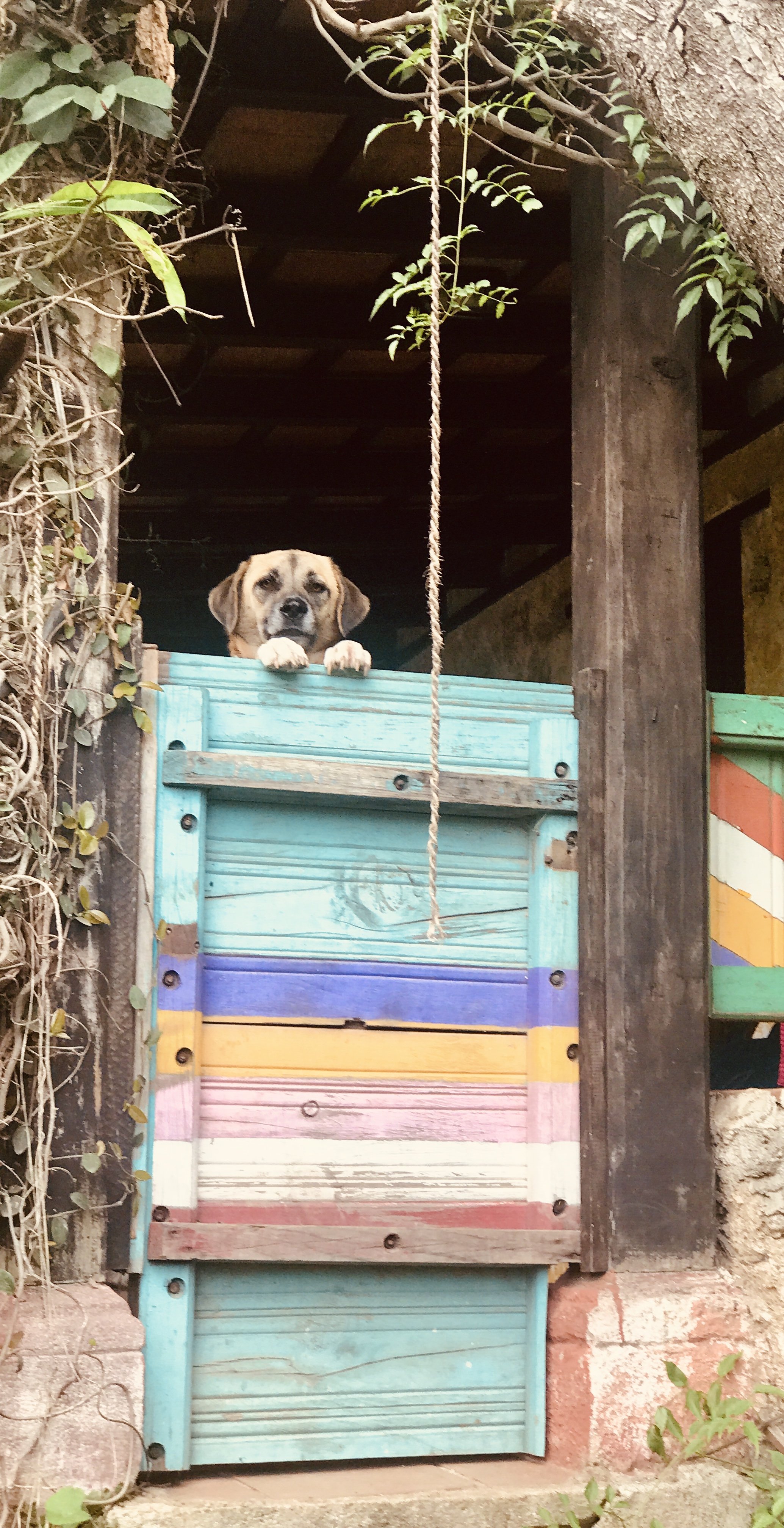 The Attacker’s Manual for Containment